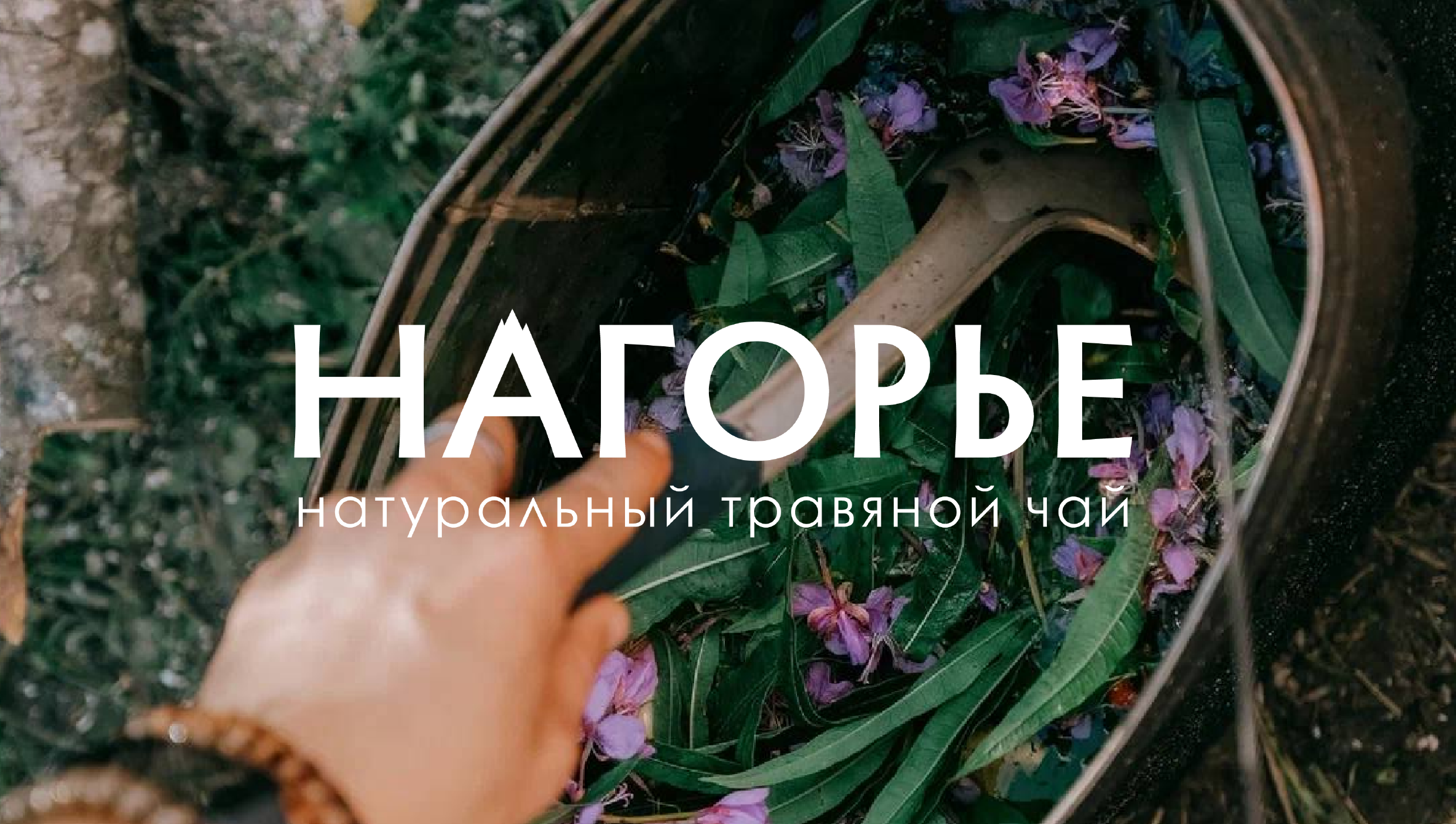НАГОРЬЕ — Изображение №1 — Брендинг, Промдизайн на Dprofile