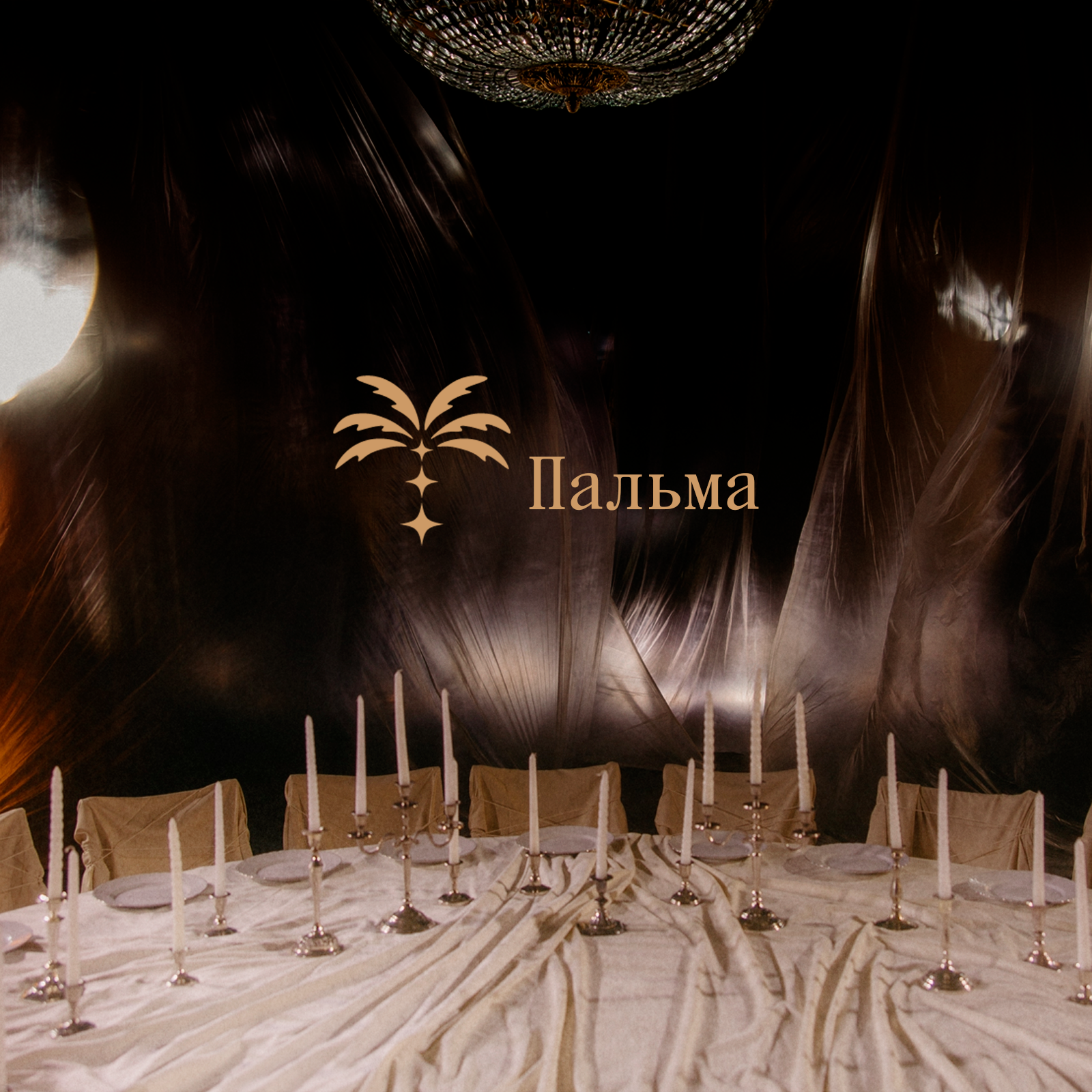 Редизайн айдентики для арт-пространства «Пальма» — Изображение №1 — Брендинг на Dprofile