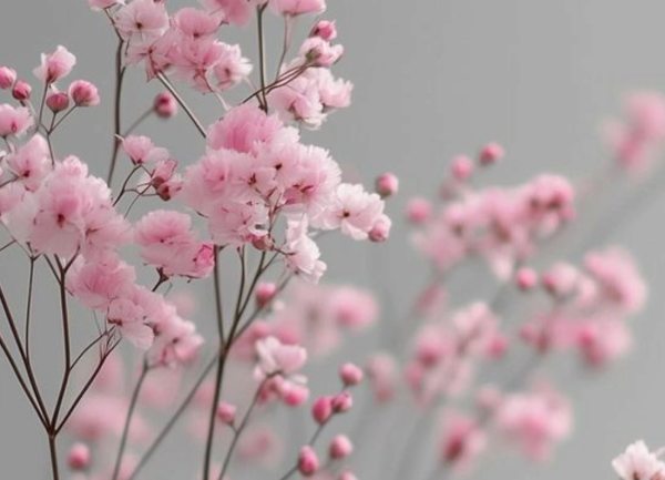 BLOOM — сайт цветочного салона — Изображение №3 — Интерфейсы на Dprofile