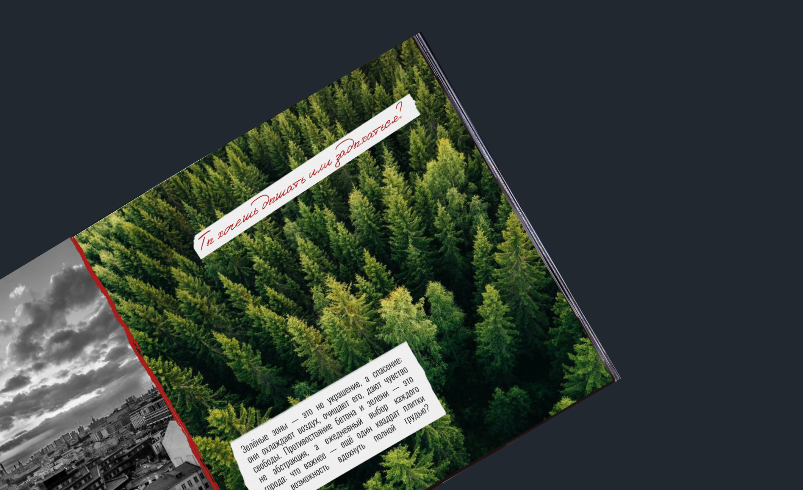 ЗИН "ЧУВСТВУЕШЬ, МЫ ЗАДЫХАЕМСЯ?" — Изображение №6 — Графика на Dprofile