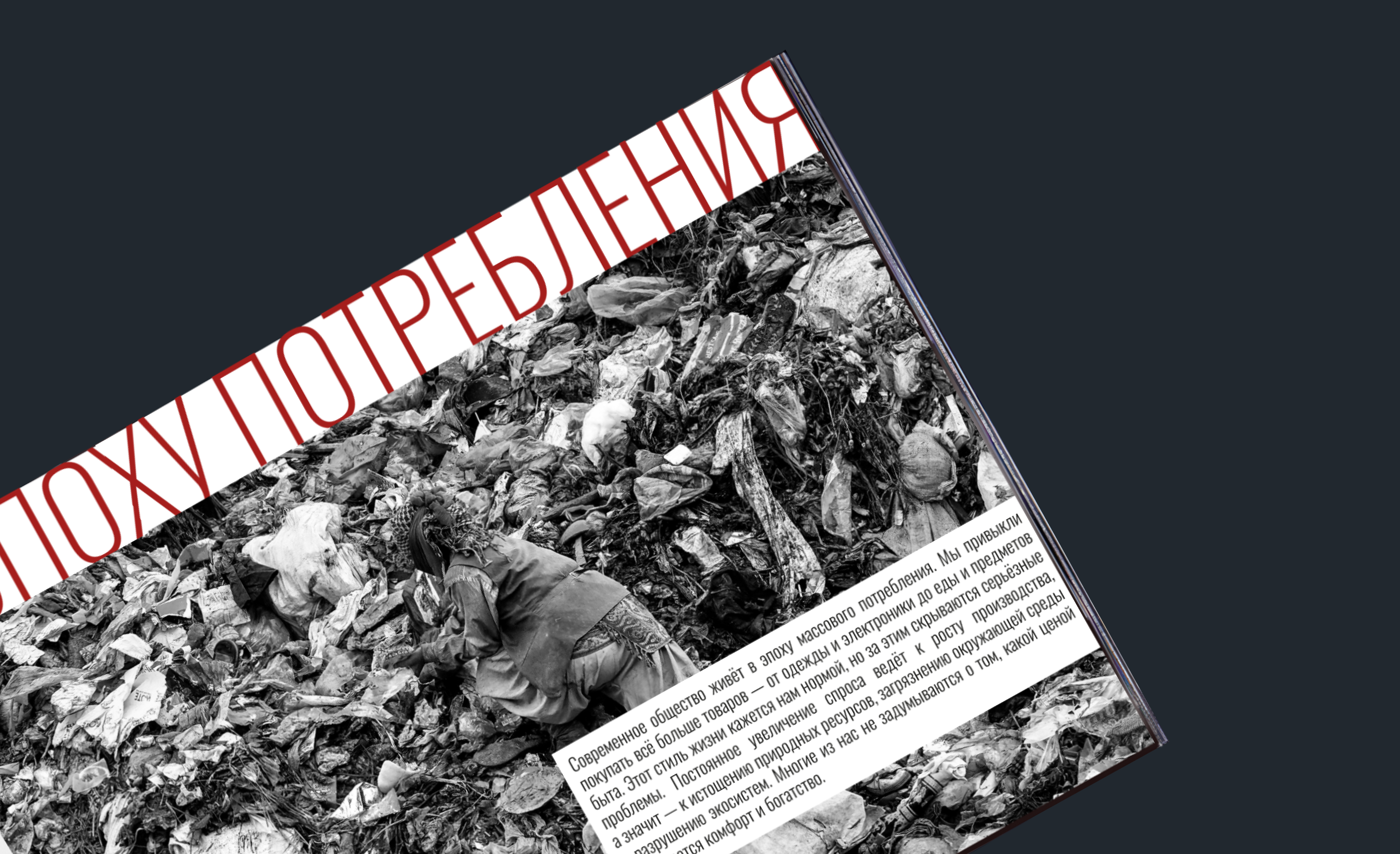 ЗИН "ЧУВСТВУЕШЬ, МЫ ЗАДЫХАЕМСЯ?" — Изображение №5 — Графика на Dprofile