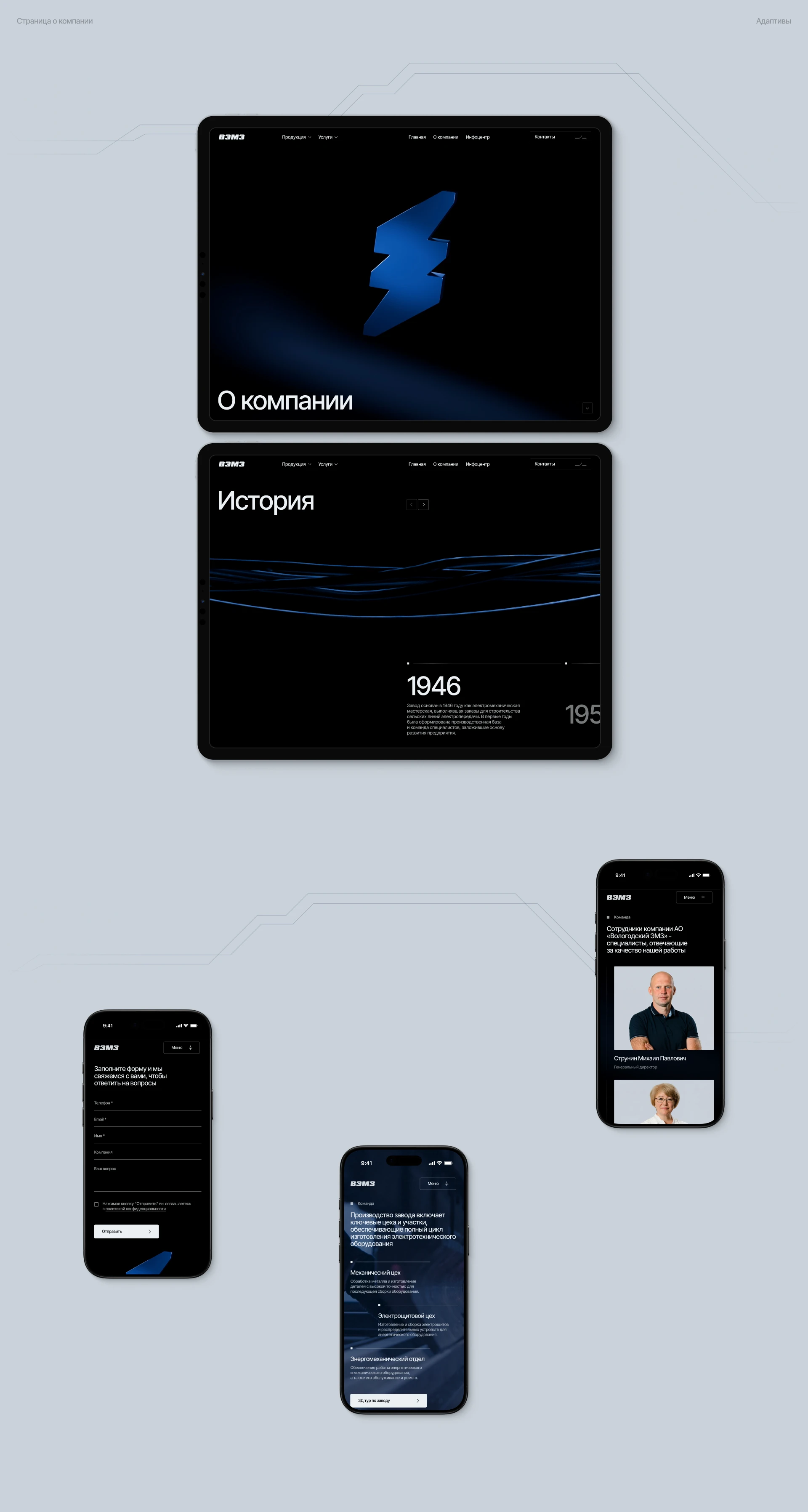 ВЭМЗ — Изображение №7 — Интерфейсы, Брендинг на Dprofile