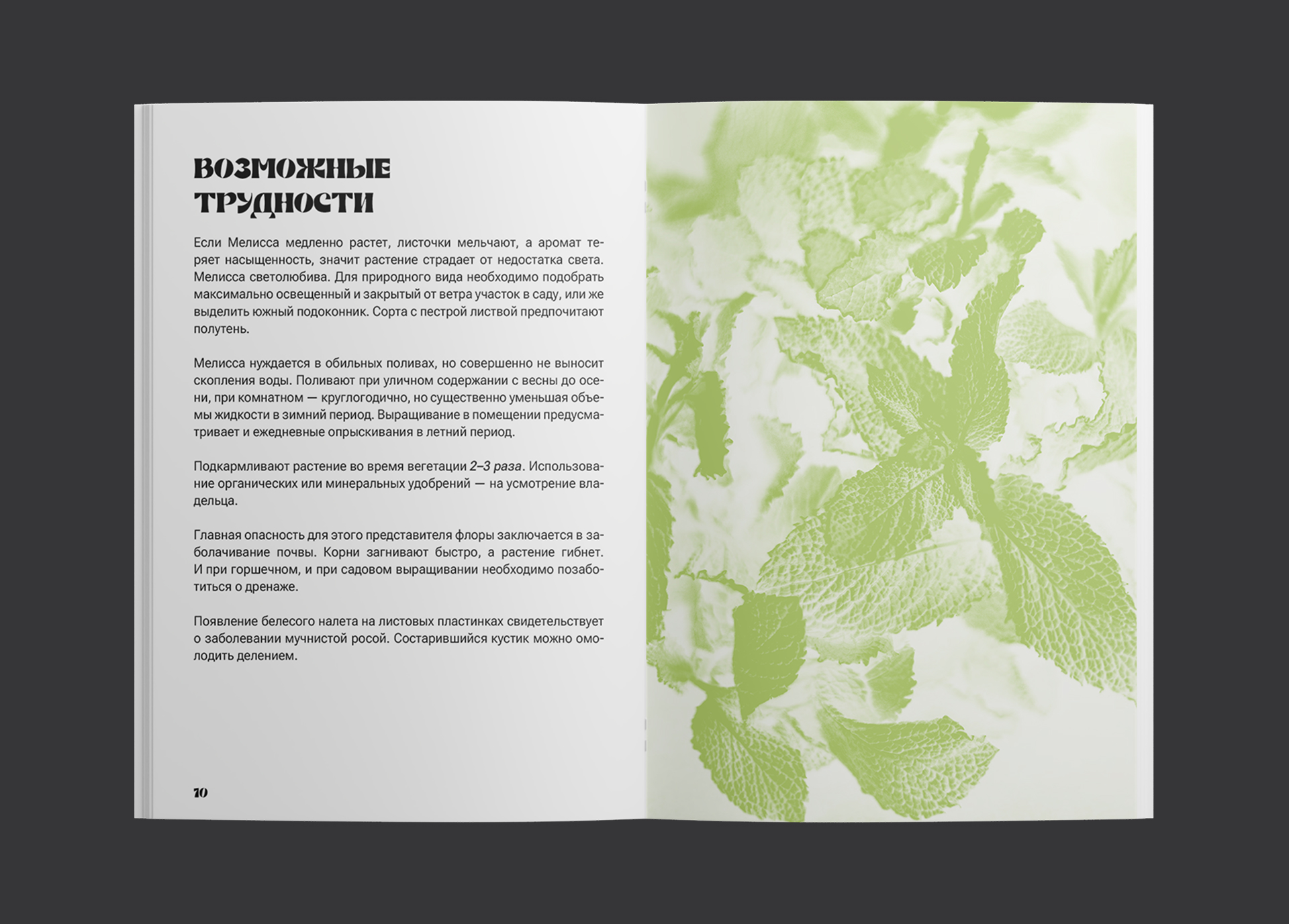 Дизайн и верстка брошюры — Изображение №8 — Графика на Dprofile