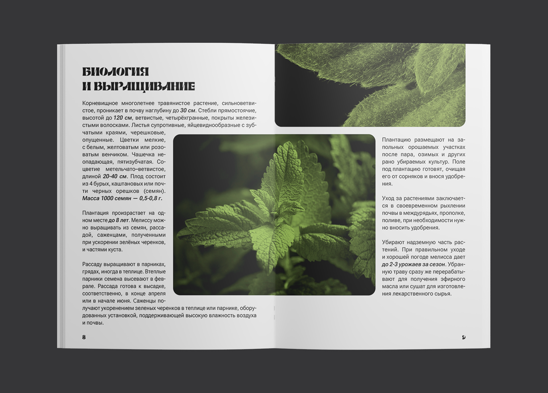 Дизайн и верстка брошюры — Изображение №7 — Графика на Dprofile