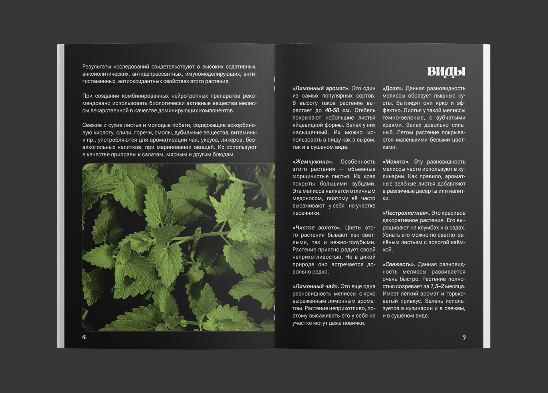 Дизайн и верстка брошюры — Изображение №6 — Графика на Dprofile