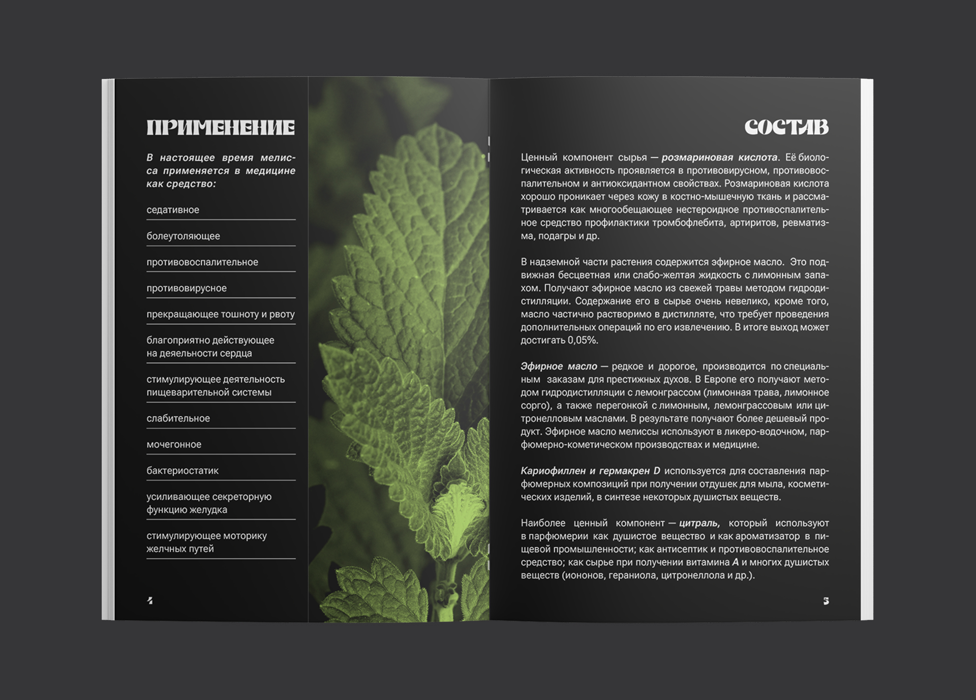 Дизайн и верстка брошюры — Изображение №5 — Графика на Dprofile
