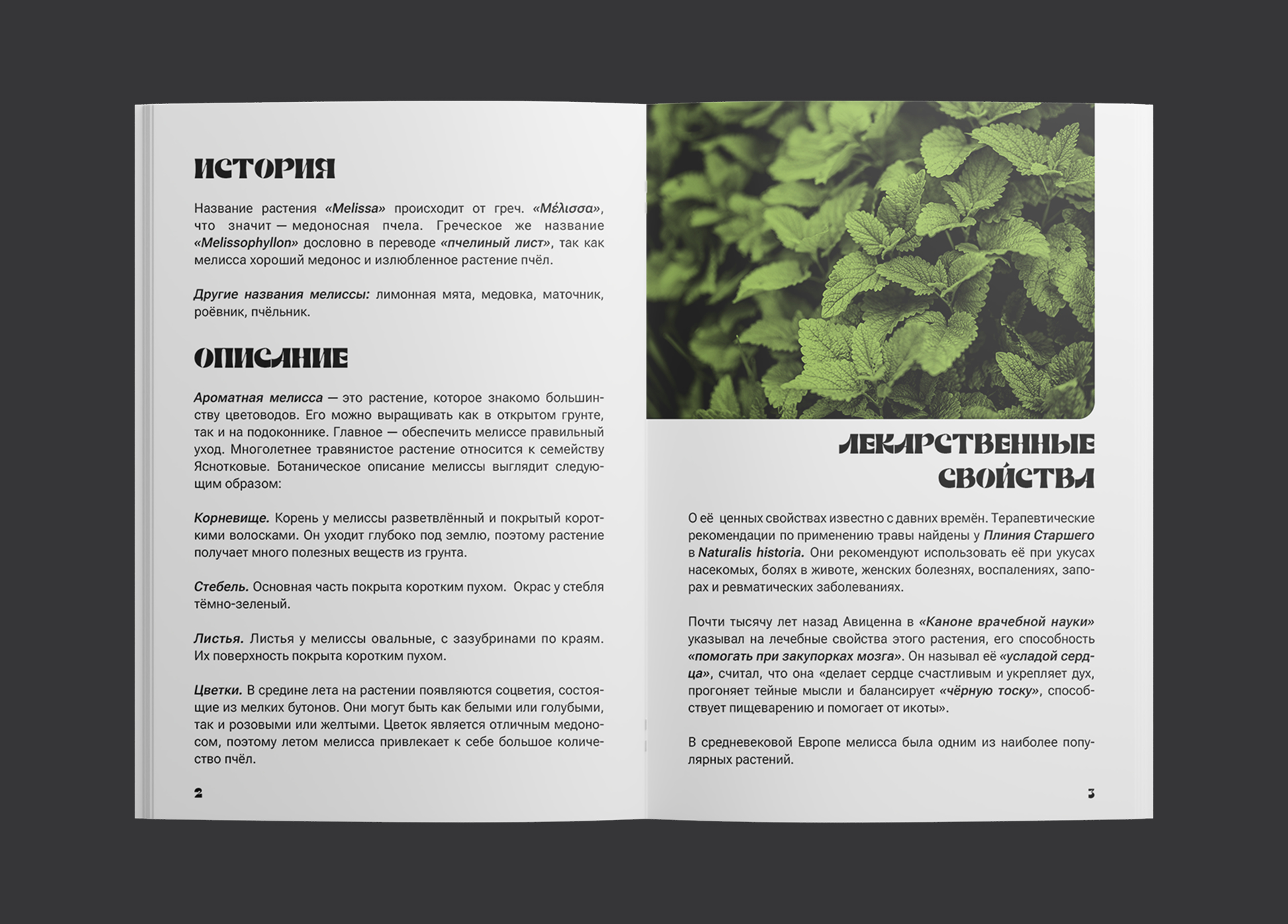 Дизайн и верстка брошюры — Изображение №4 — Графика на Dprofile