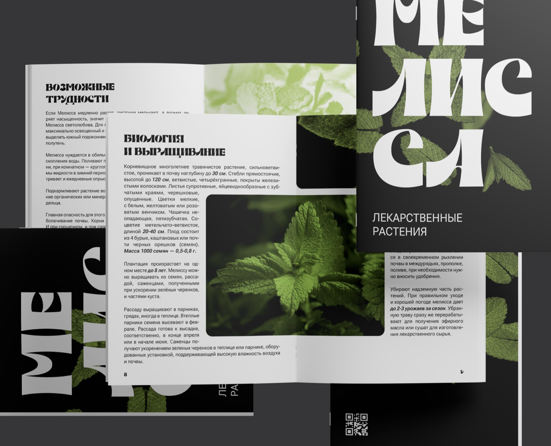 Дизайн и верстка брошюры — Графика на Dprofile