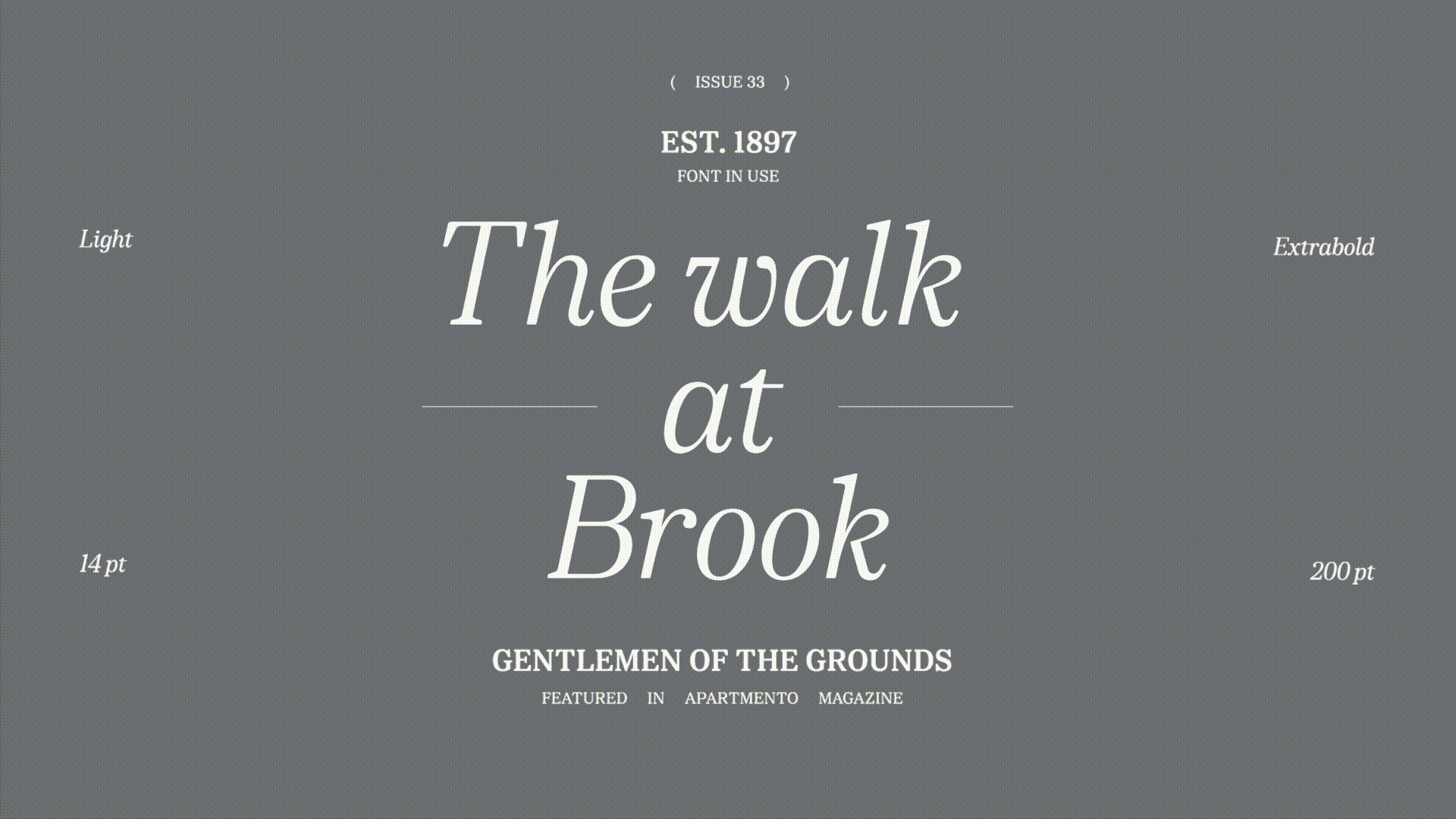 Dentegra Serif — Изображение №5 — Графика на Dprofile