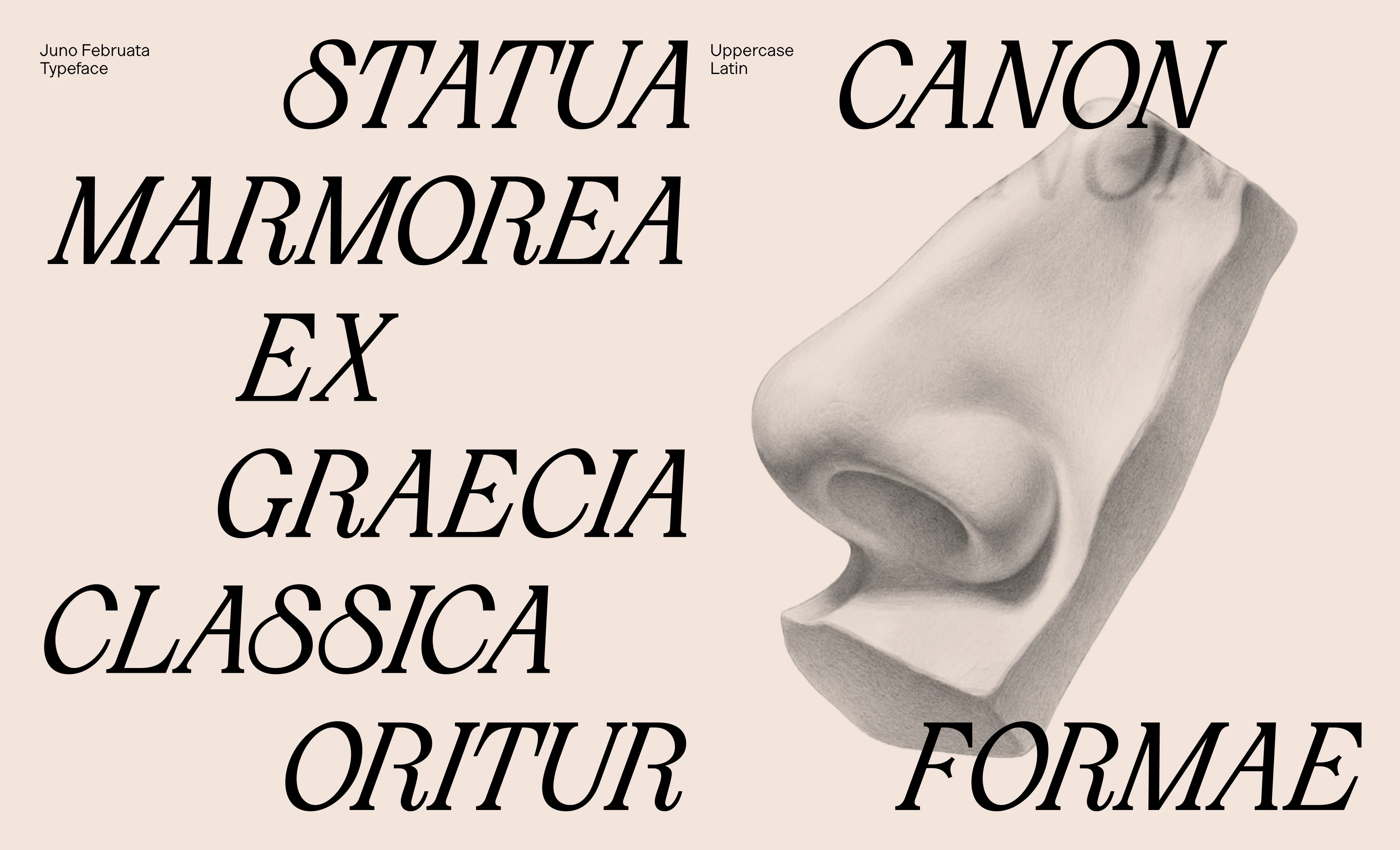 Шрифт Juno Februata — Изображение №10 — Графика на Dprofile