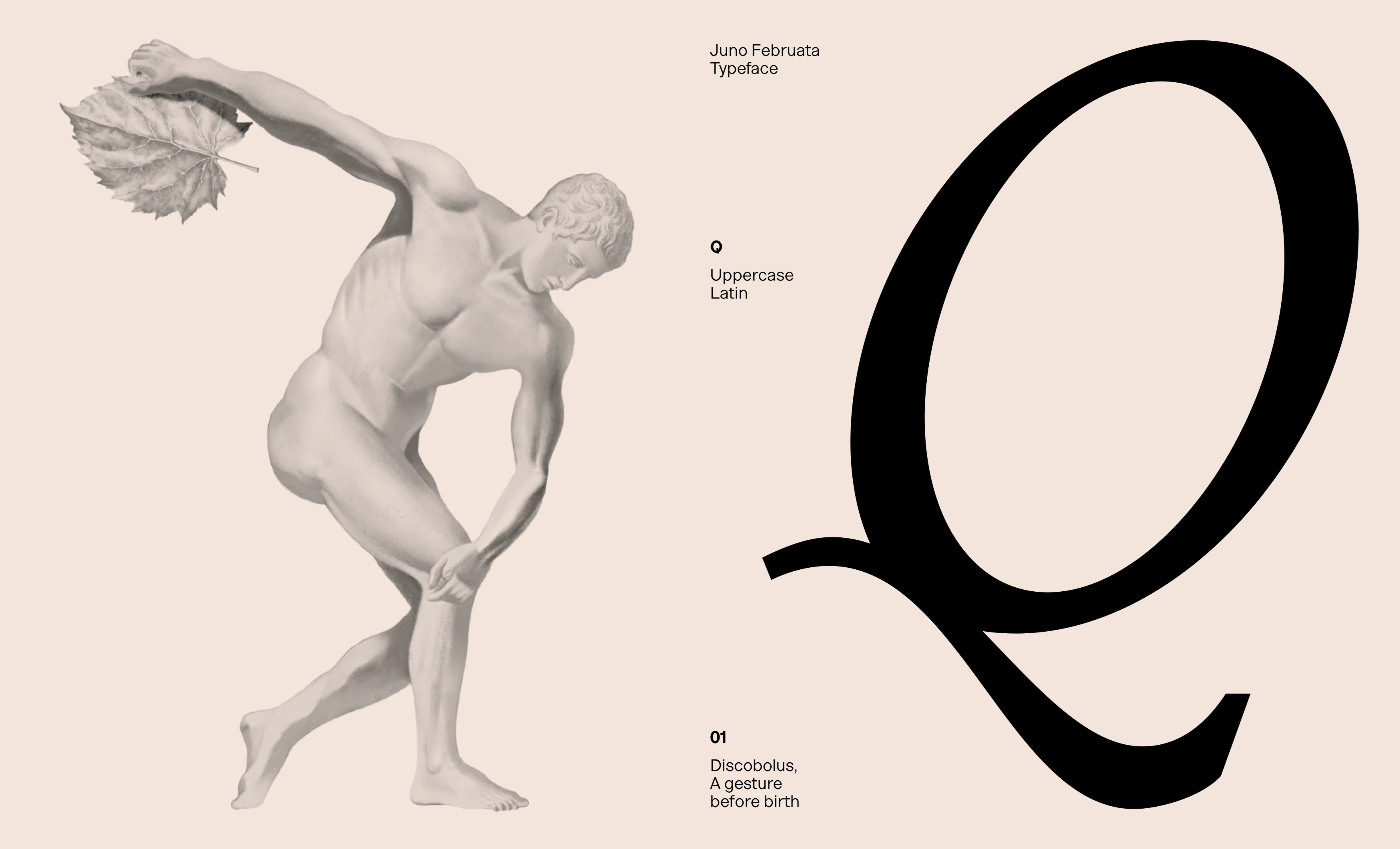 Шрифт Juno Februata — Изображение №5 — Графика на Dprofile