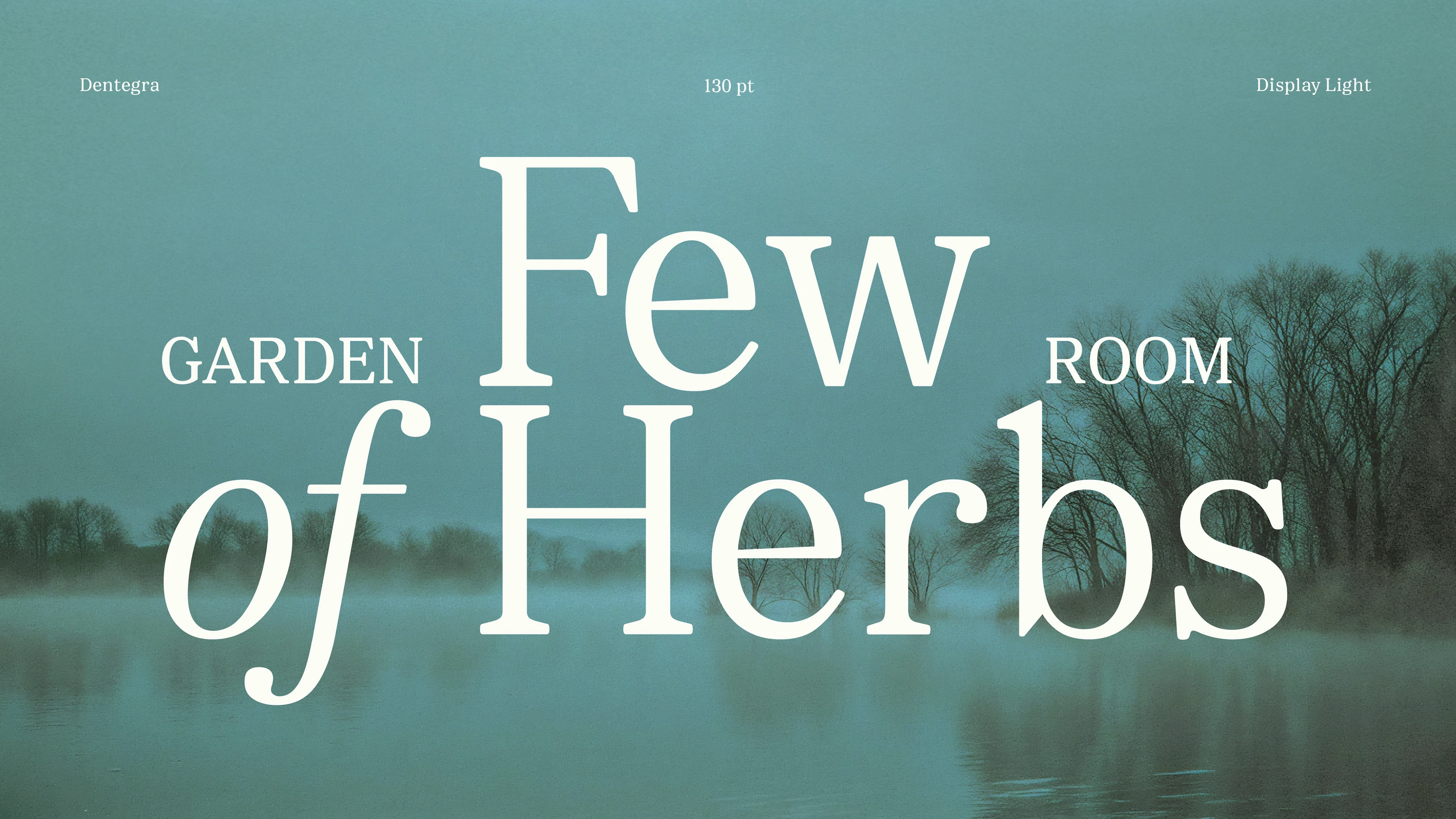 Dentegra Serif — Изображение №2 — Графика на Dprofile