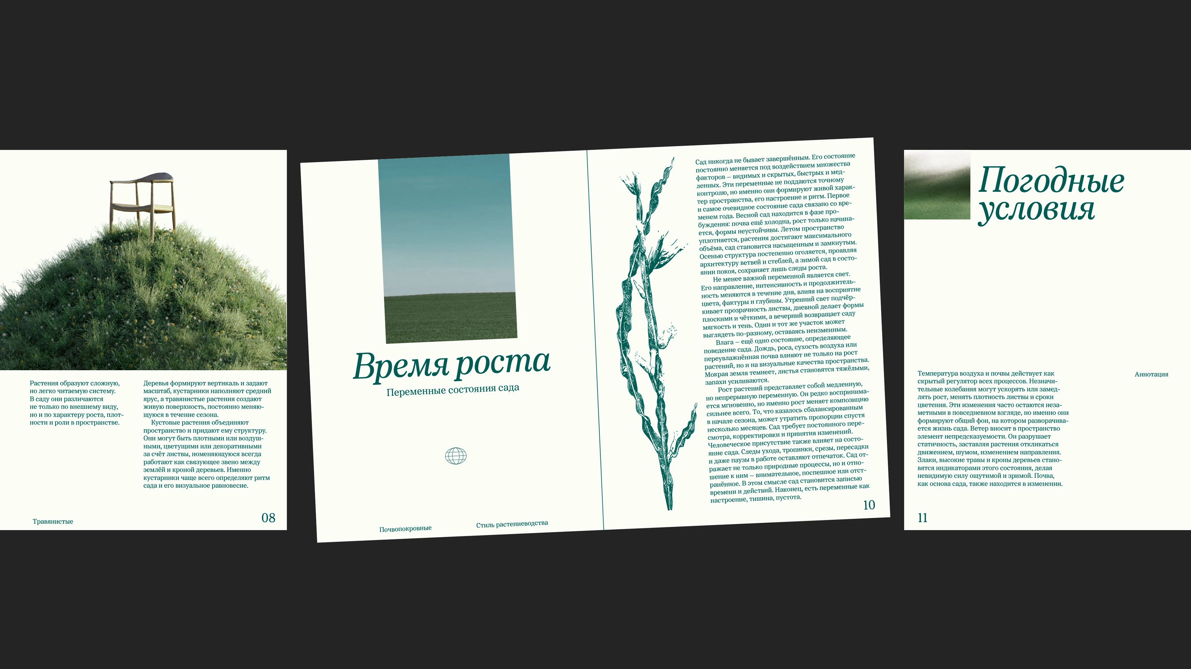 Dentegra Serif — Изображение №4 — Графика на Dprofile