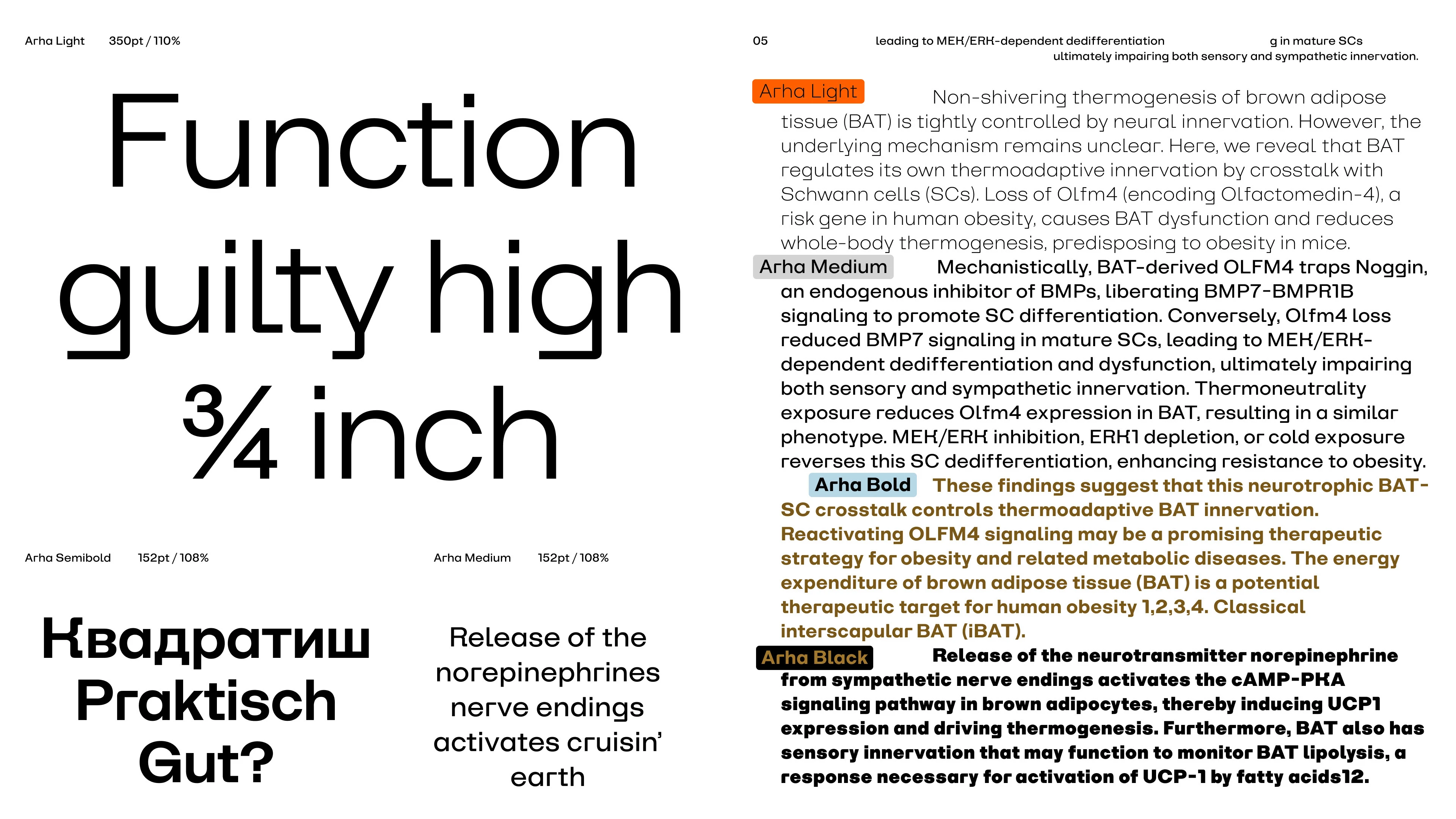 Arha — Изображение №6 — Графика на Dprofile