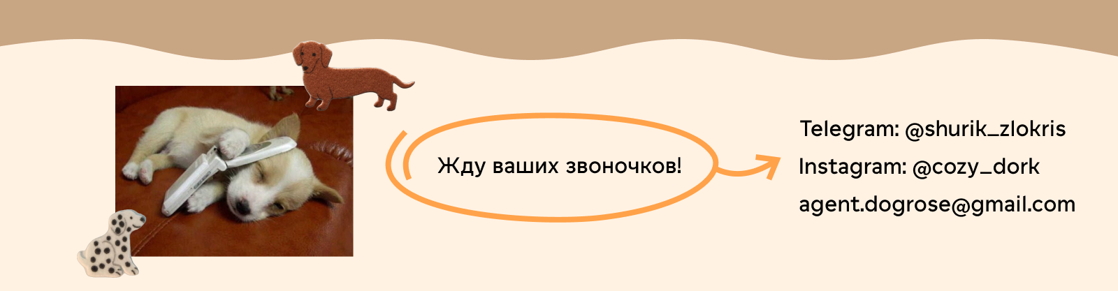 Фирменный стиль SMM "Рэй" — Изображение №5 — Брендинг, Маркетинг на Dprofile