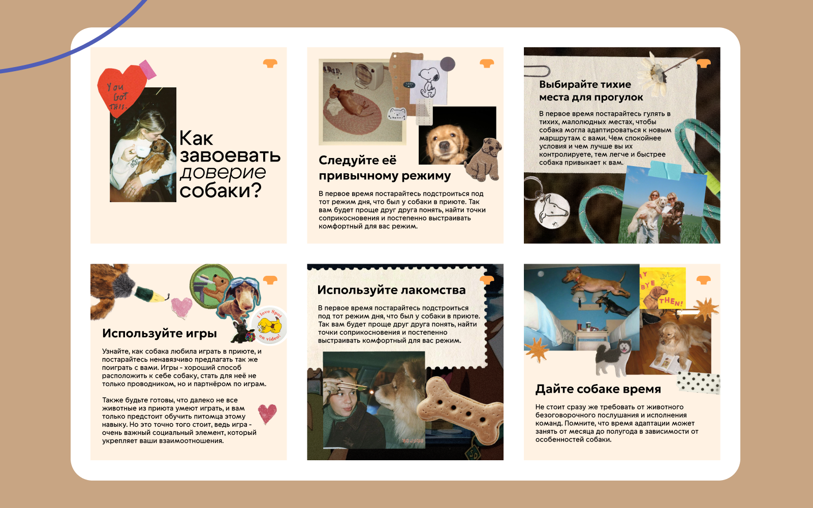 Фирменный стиль SMM "Рэй" — Изображение №4 — Брендинг, Маркетинг на Dprofile