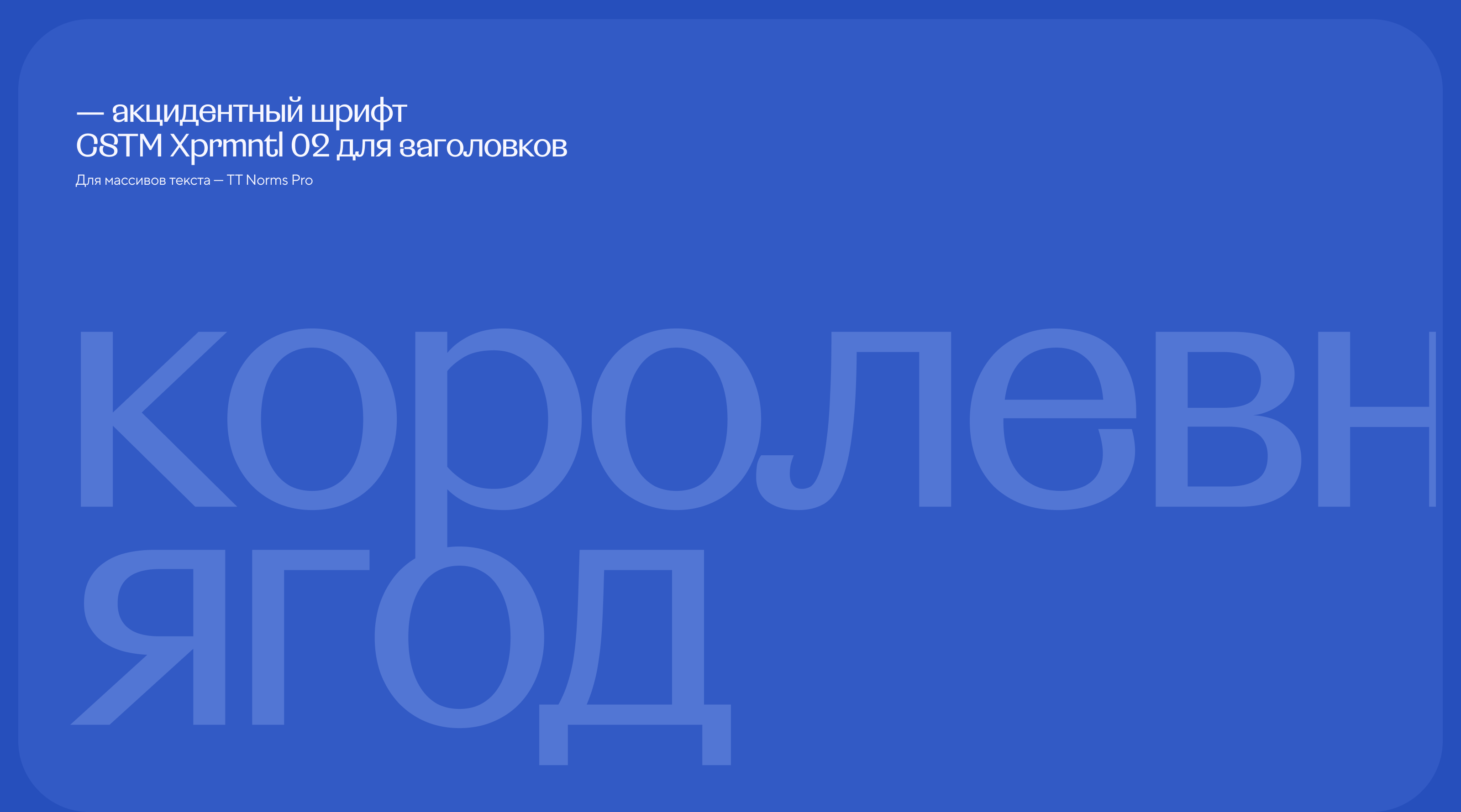 Лики голубики. Нейминг, айдентика и сайт компании — Изображение №6 — Интерфейсы, Брендинг на Dprofile
