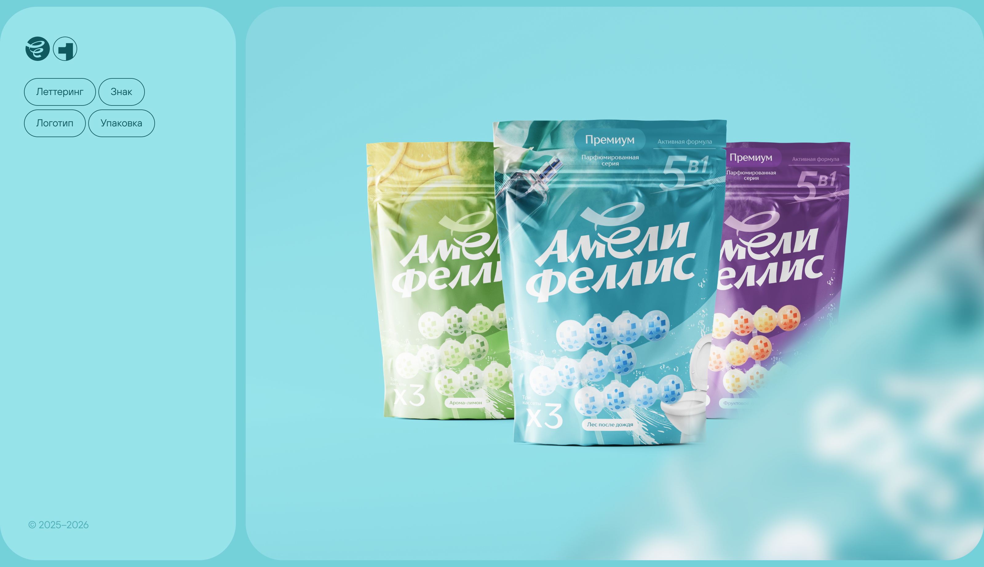 Два бренда бытовой химии. Айдентика и упаковка — Изображение №2 — Брендинг на Dprofile