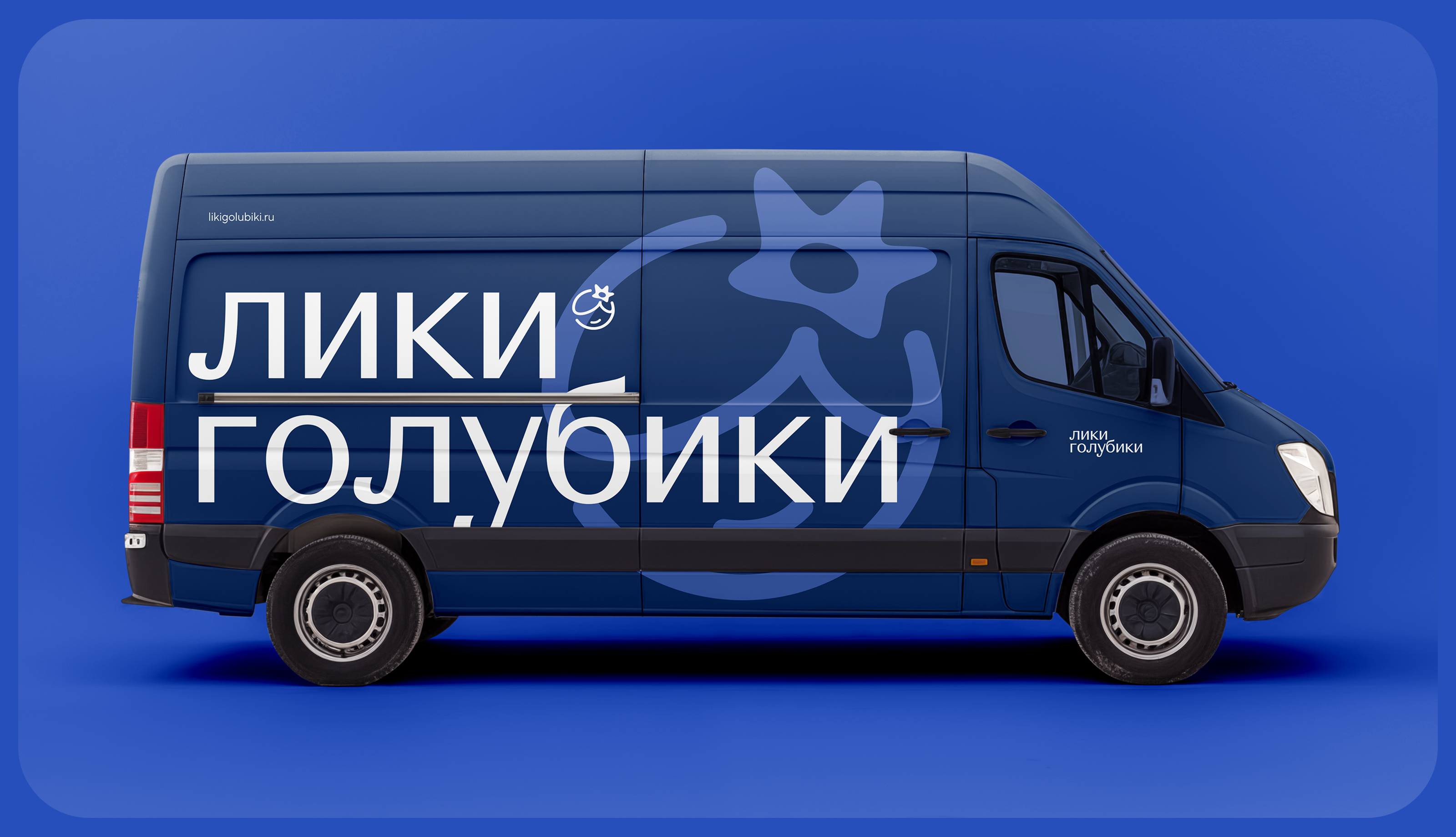 Лики голубики. Нейминг, айдентика и сайт компании — Изображение №4 — Интерфейсы, Брендинг на Dprofile