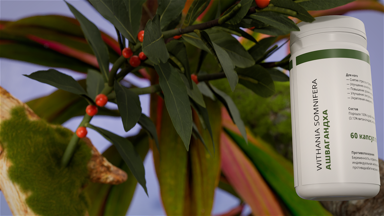 NATURE | 3D Product Animation — Изображение №4 — 3D, Анимация на Dprofile