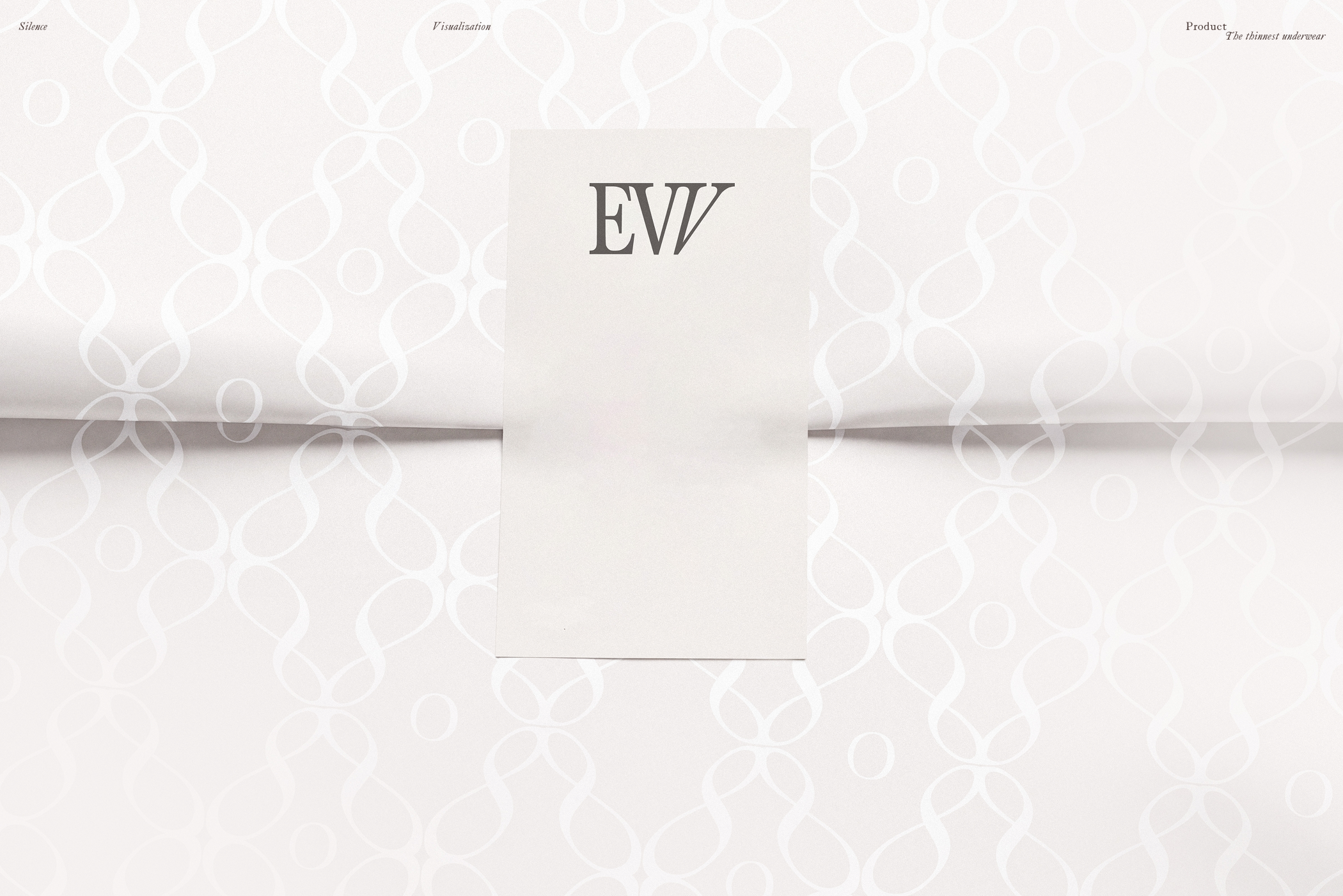EVV / Бренд нижнего белья — Изображение №11 — Брендинг на Dprofile
