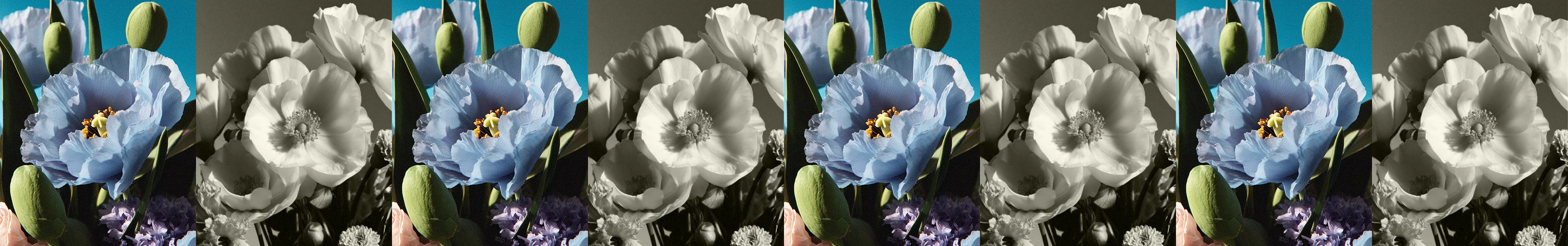 Цветочная франшиза | Одностраничный сайт — Изображение №8 — Интерфейсы на Dprofile