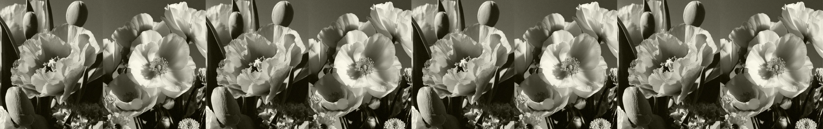 Цветочная франшиза | Одностраничный сайт — Изображение №13 — Интерфейсы на Dprofile