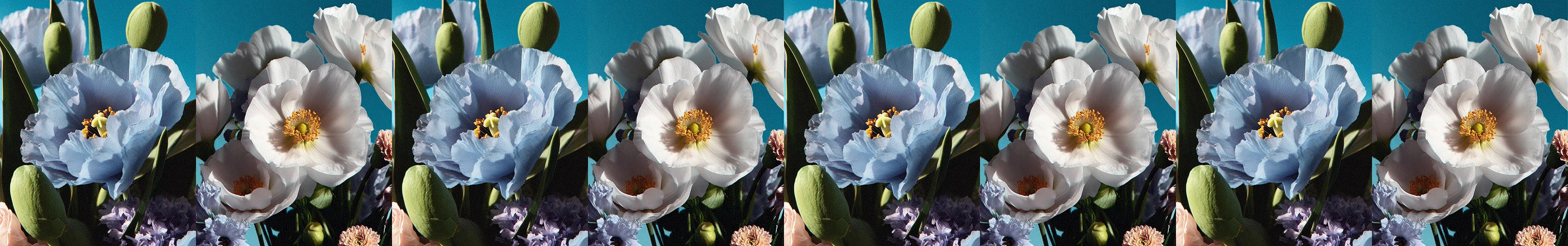 Цветочная франшиза | Одностраничный сайт — Изображение №2 — Интерфейсы на Dprofile