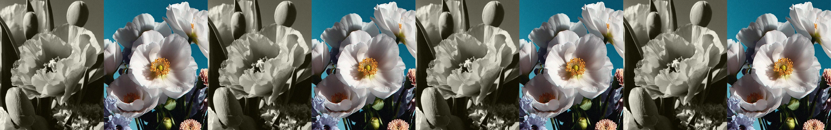 Цветочная франшиза | Одностраничный сайт — Изображение №5 — Интерфейсы на Dprofile