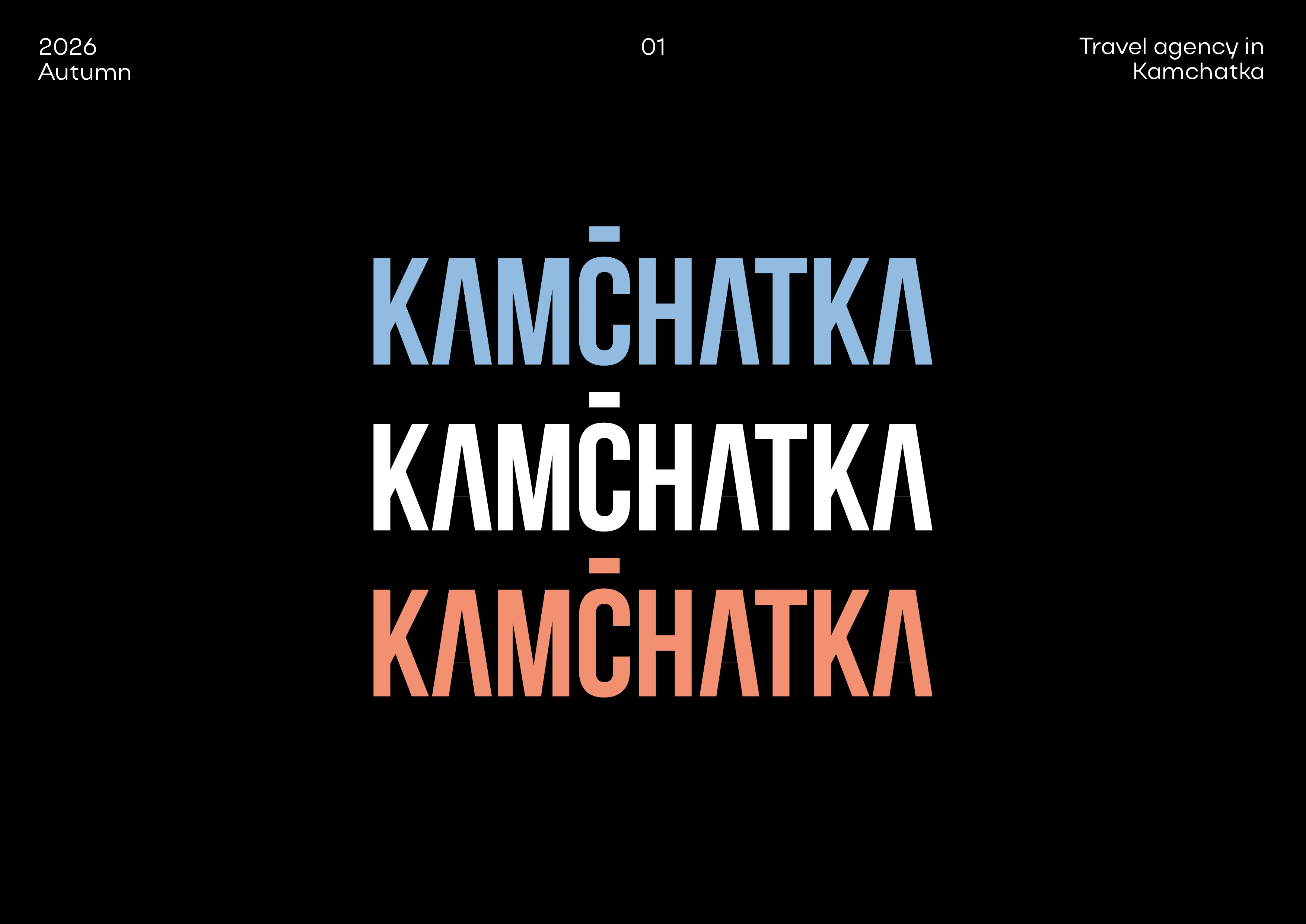 Логофолио | Brand identity — Изображение №2 — Брендинг на Dprofile