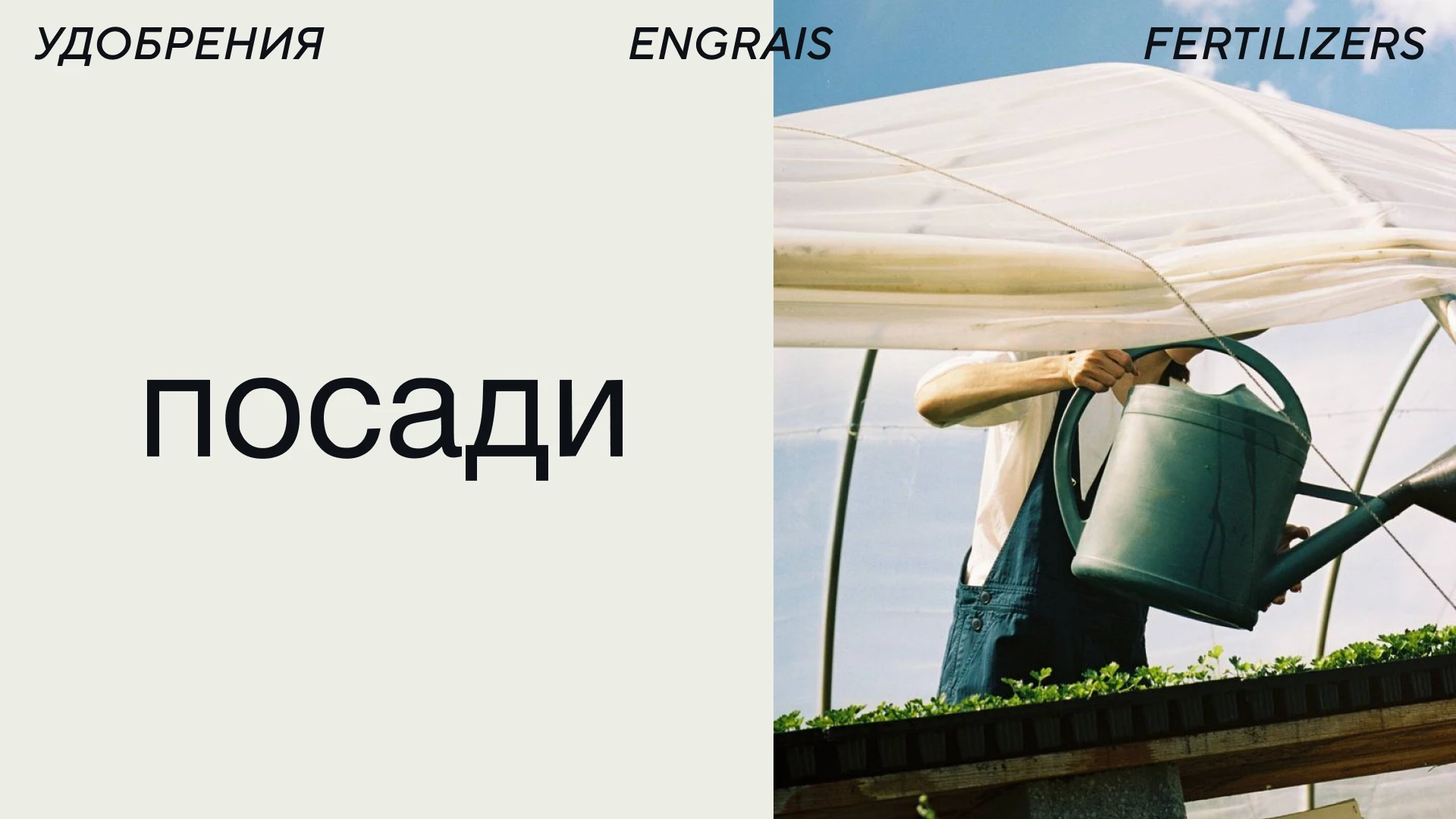 ПОСАДИ — Изображение №1 — Брендинг на Dprofile