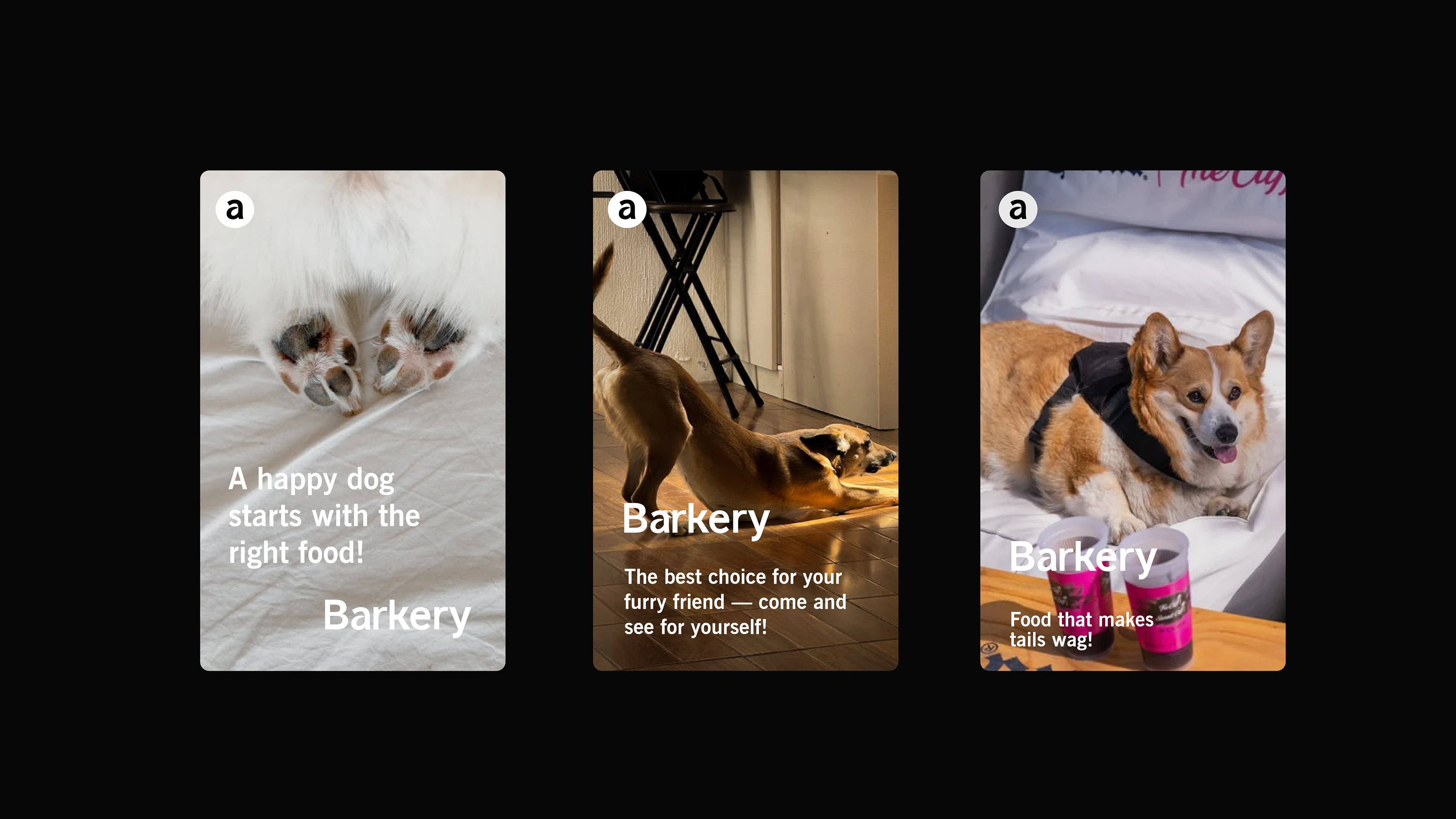 Фирменный стиль Barkery — Изображение №13 — Брендинг на Dprofile