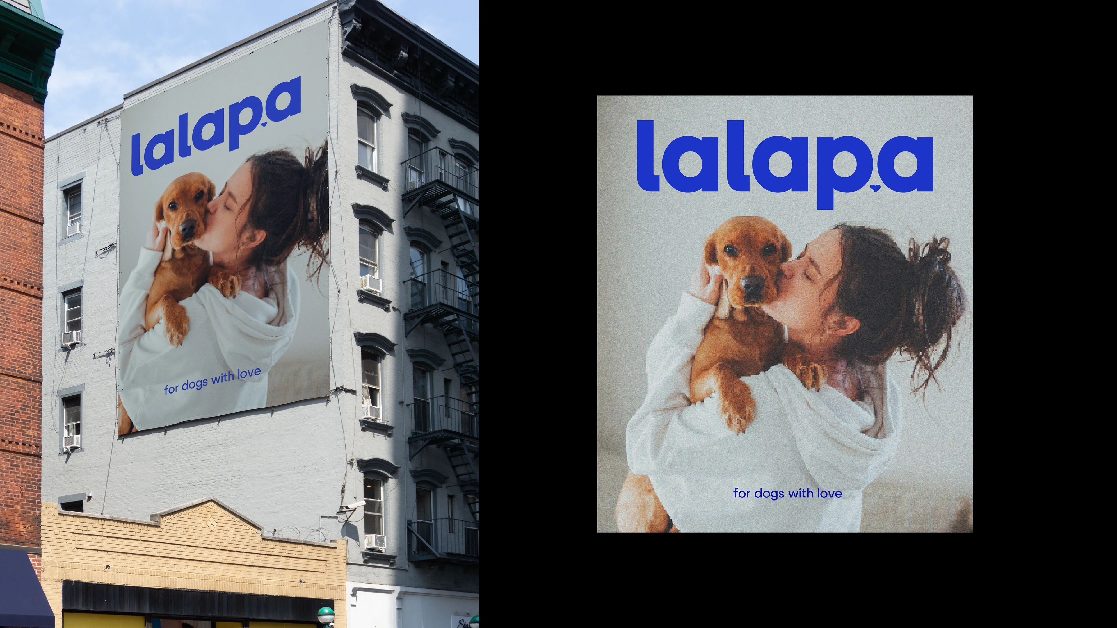 Фирменный стиль нейминг бренда для собак lalapa — Изображение №4 — Брендинг, Иллюстрация на Dprofile