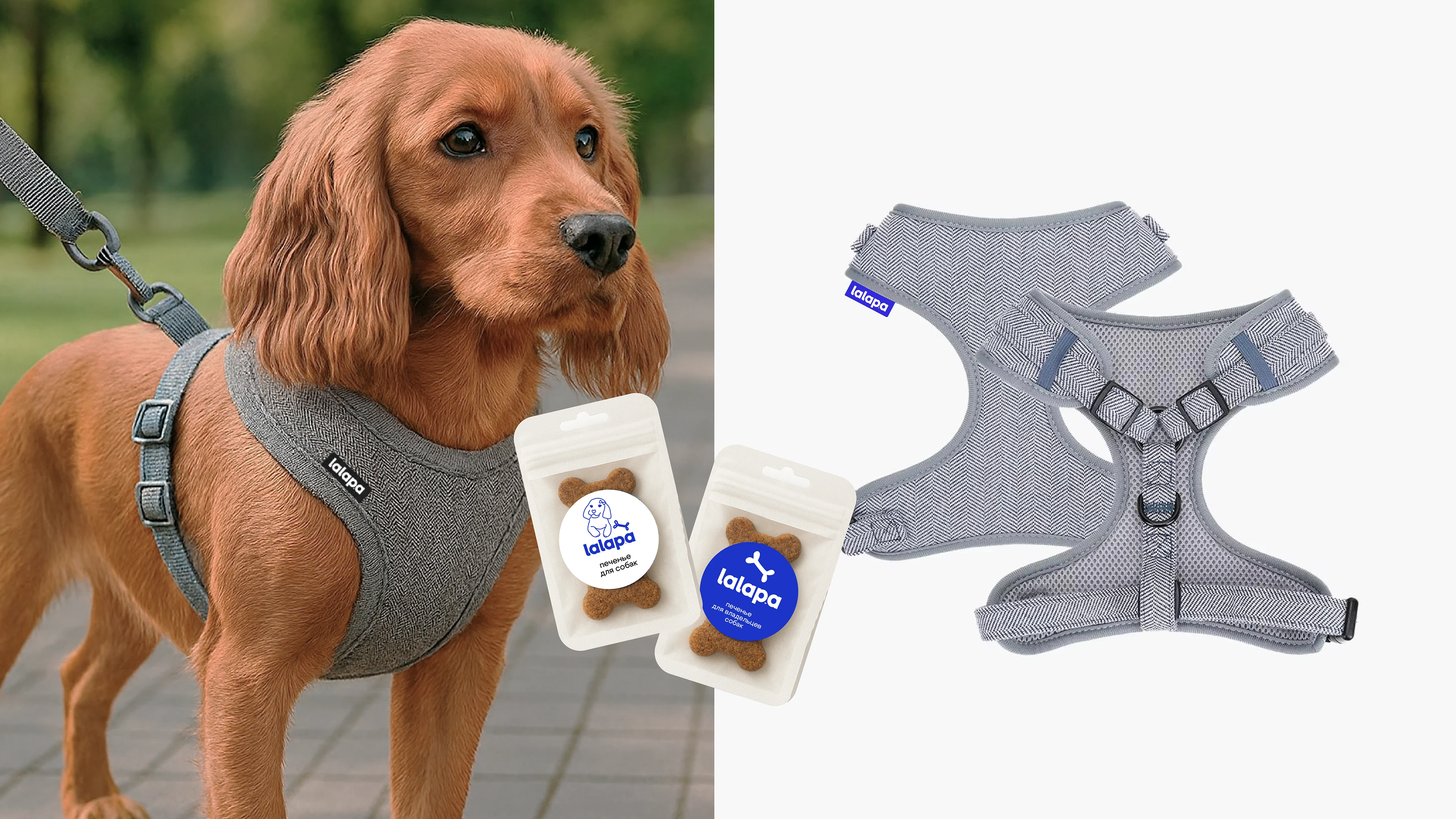 Фирменный стиль нейминг бренда для собак lalapa — Изображение №14 — Брендинг, Иллюстрация на Dprofile