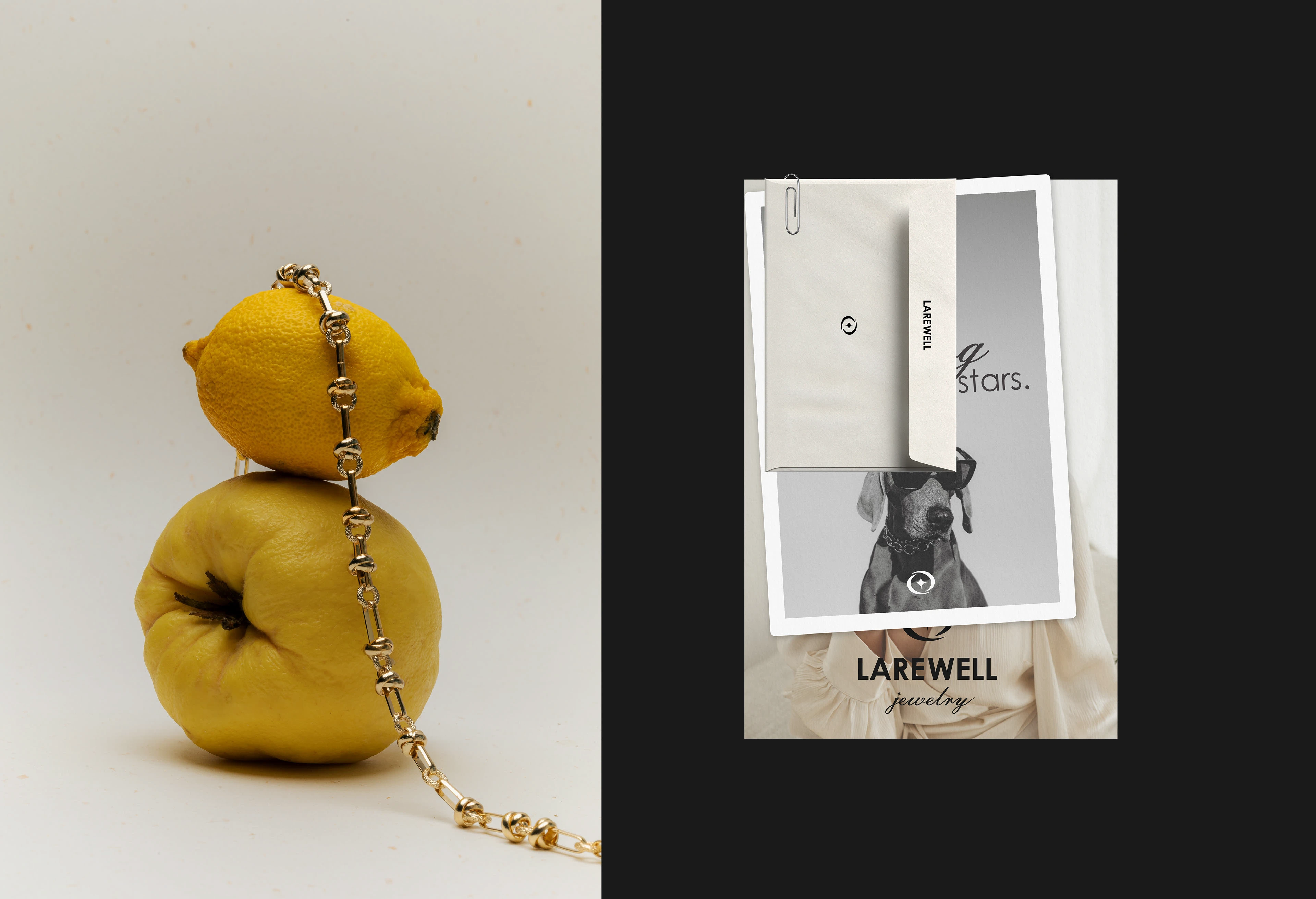 Логотип и фирменный стиль бренда украшений Larewell — Изображение №9 — Брендинг на Dprofile
