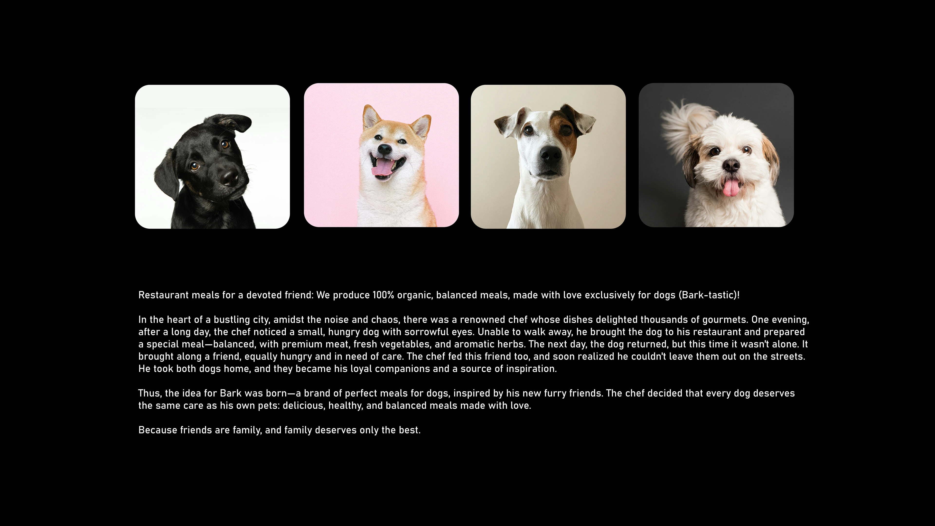 Фирменный стиль Barkery — Изображение №2 — Брендинг на Dprofile
