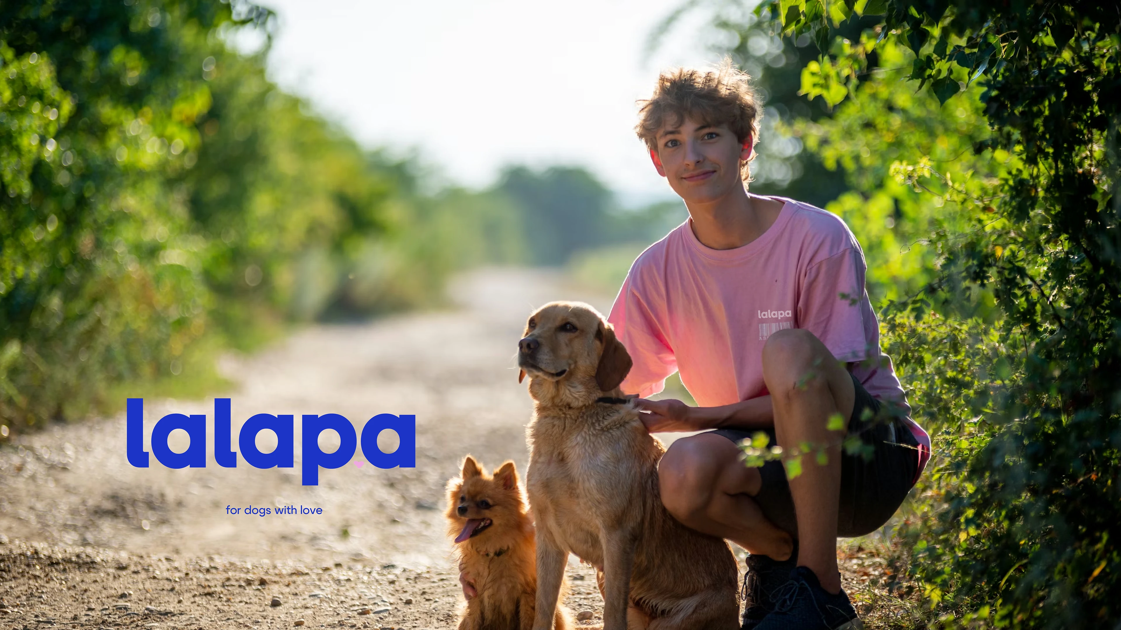 Фирменный стиль нейминг бренда для собак lalapa — Изображение №1 — Брендинг, Иллюстрация на Dprofile