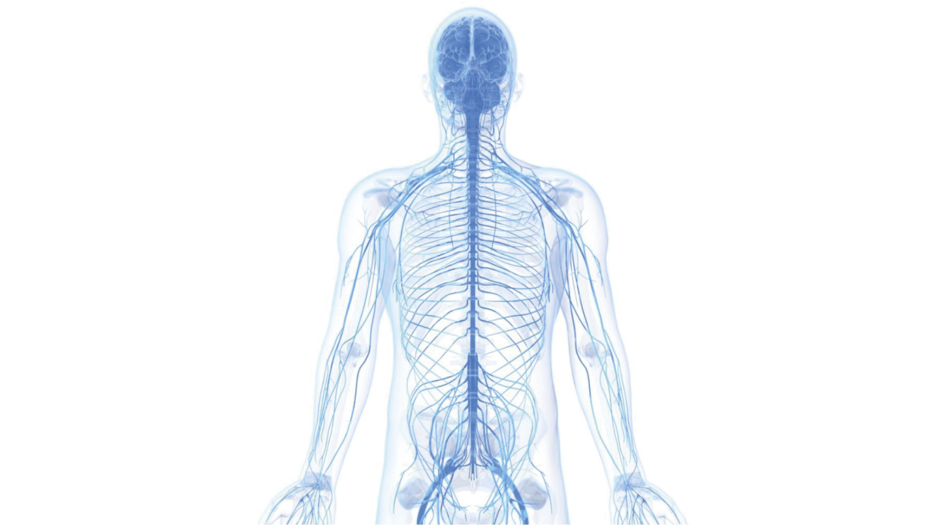 БАДы Сбер еаптека — Изображение №4 — Брендинг на Dprofile