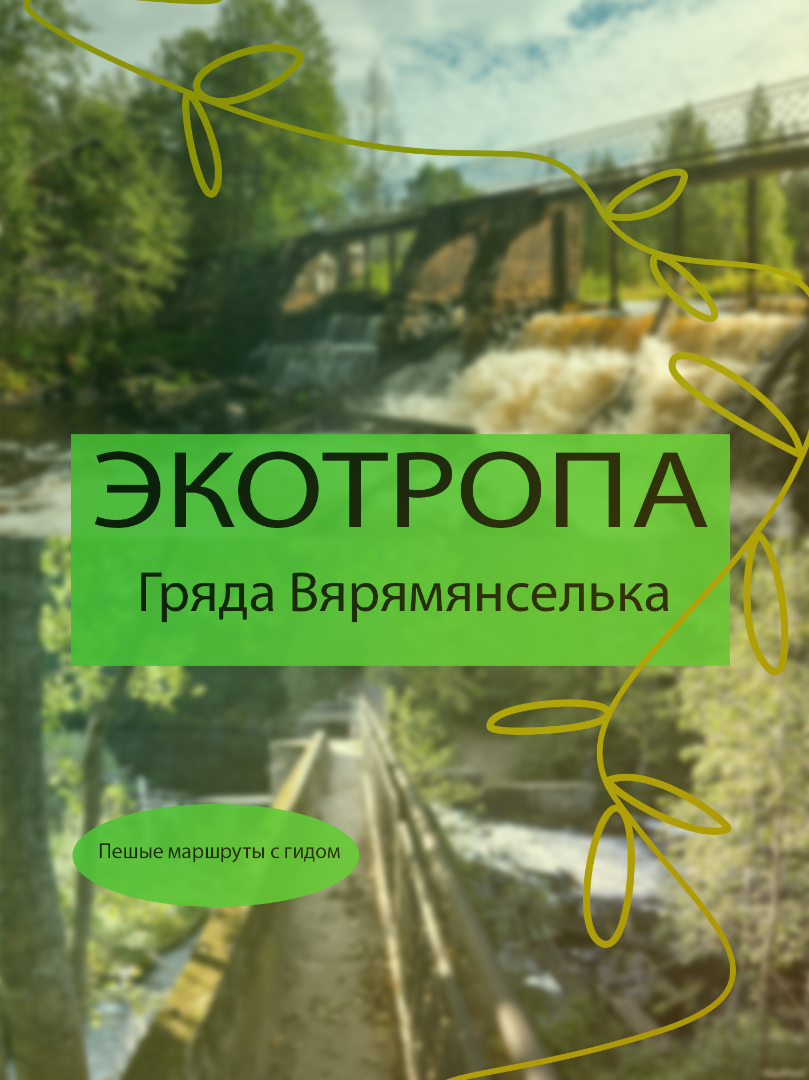 Плакат для Экотропы Гряда Вярямянселька — Изображение №1 — Графика на Dprofile
