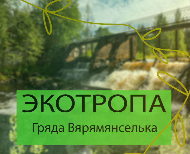 Плакат для Экотропы Гряда Вярямянселька на Dprofile