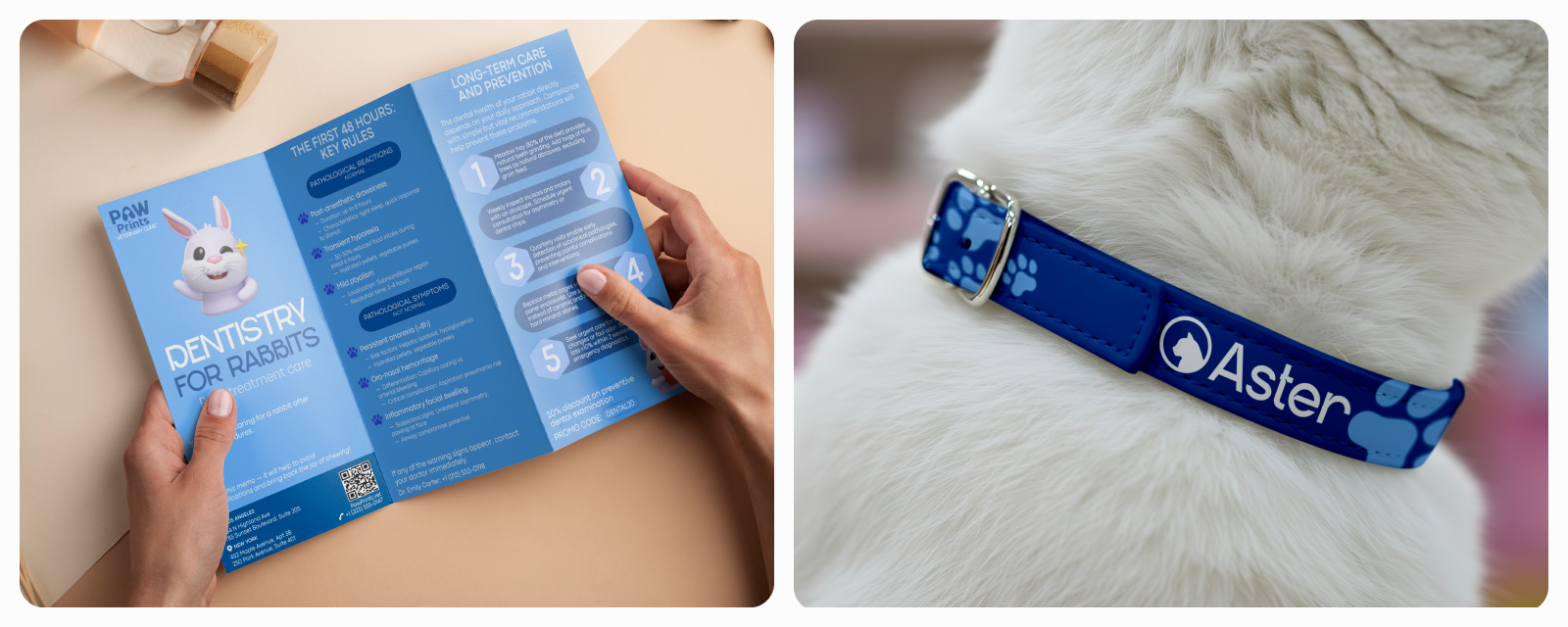 Концепт сайта ветеринарной клиники| Paw Prints — Изображение №20 — Интерфейсы, Брендинг на Dprofile