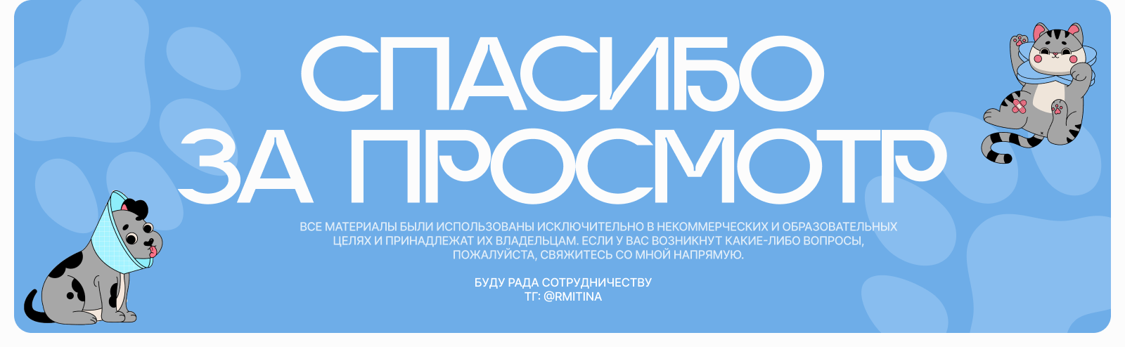 Концепт сайта ветеринарной клиники| Paw Prints — Изображение №32 — Интерфейсы, Брендинг на Dprofile