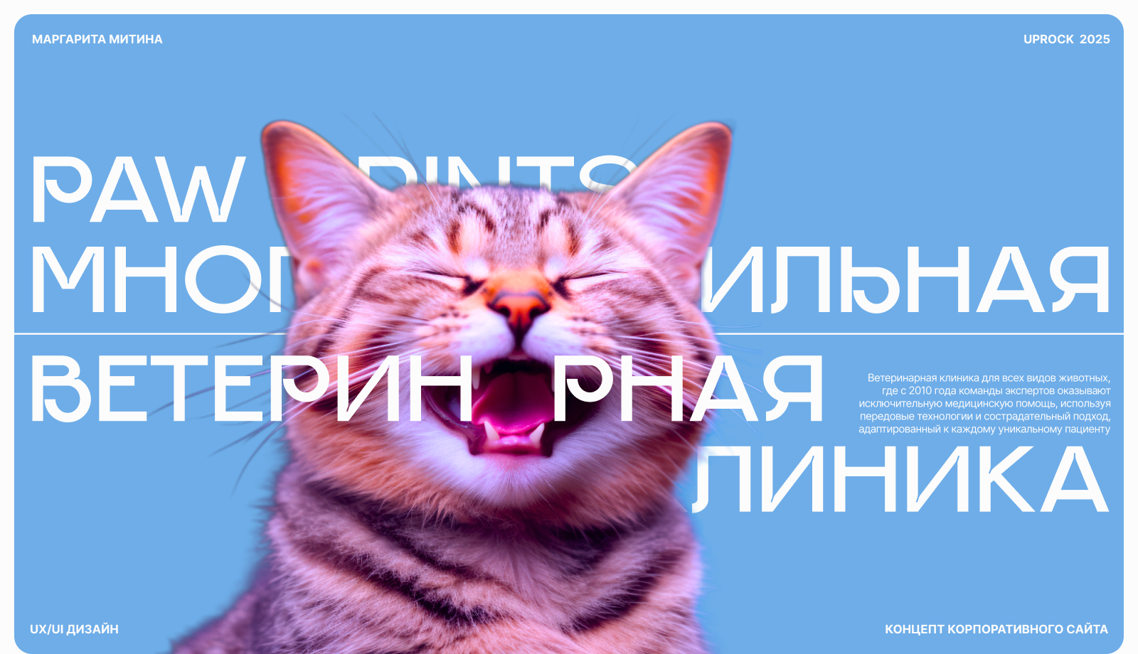 Концепт сайта ветеринарной клиники| Paw Prints — Изображение №1 — Интерфейсы, Брендинг на Dprofile