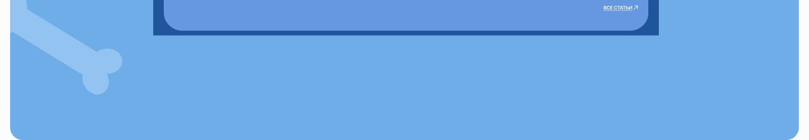 Концепт сайта ветеринарной клиники| Paw Prints — Изображение №7 — Интерфейсы, Брендинг на Dprofile