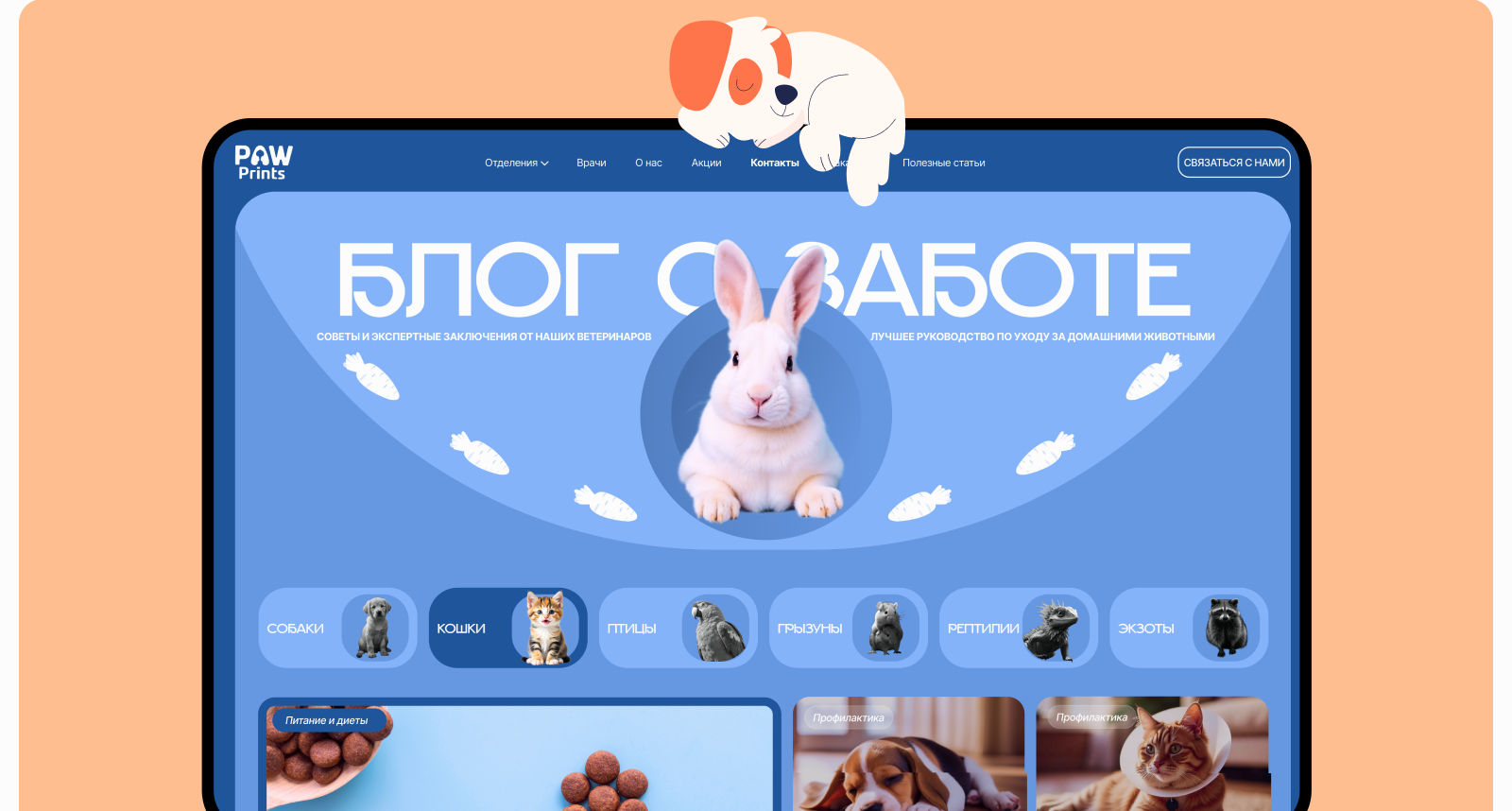 Концепт сайта ветеринарной клиники| Paw Prints — Изображение №28 — Интерфейсы, Брендинг на Dprofile