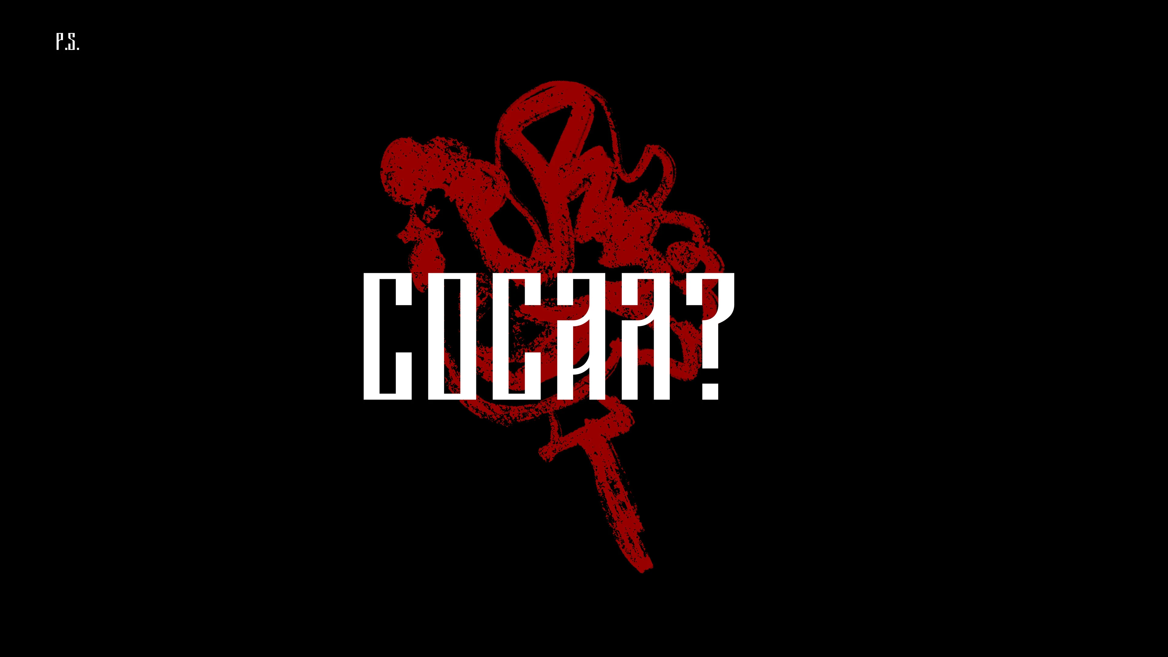 РВИ БАЯН // СКАТЕРТЬЮ ДОРОЖКА // МЕРЧ — Изображение №42 — Брендинг, Графика на Dprofile