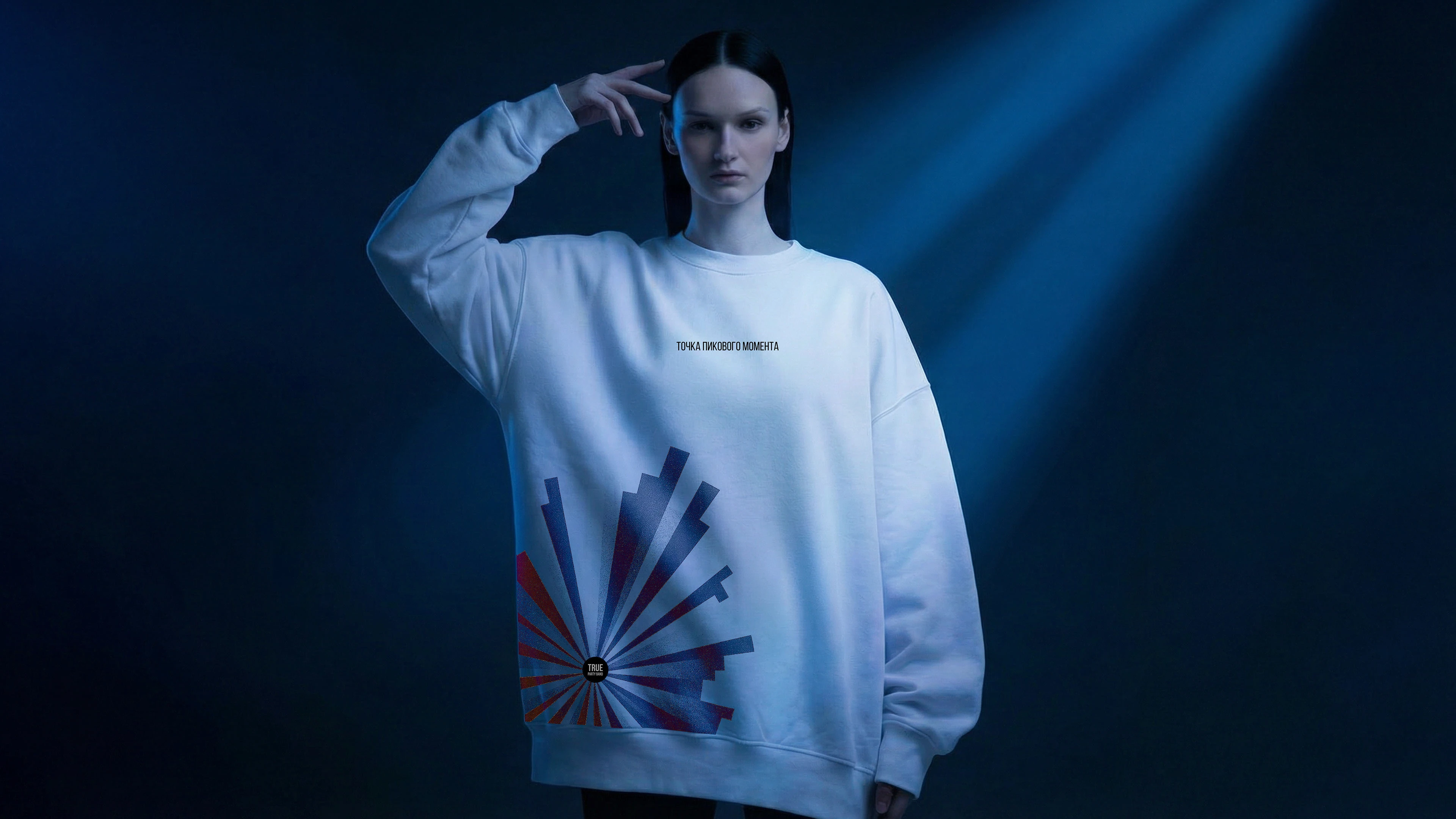 МУЗЫКА.СВЕТ.МЫ // TRUE PARTY BAND // МЕРЧ — Изображение №25 — Брендинг на Dprofile