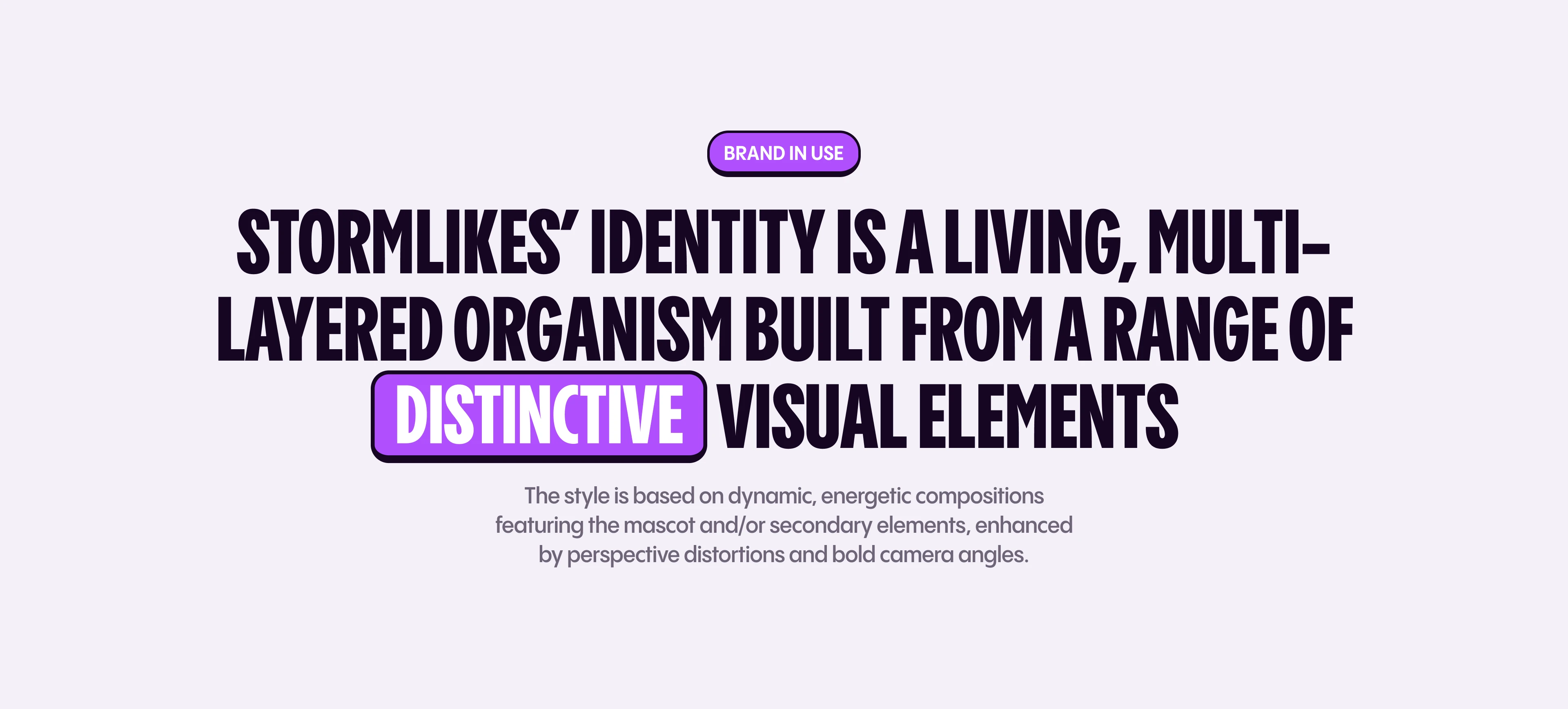 Stormlikes — Branding, Mascots, Web Design — Изображение №11 — Брендинг, Иллюстрация на Dprofile