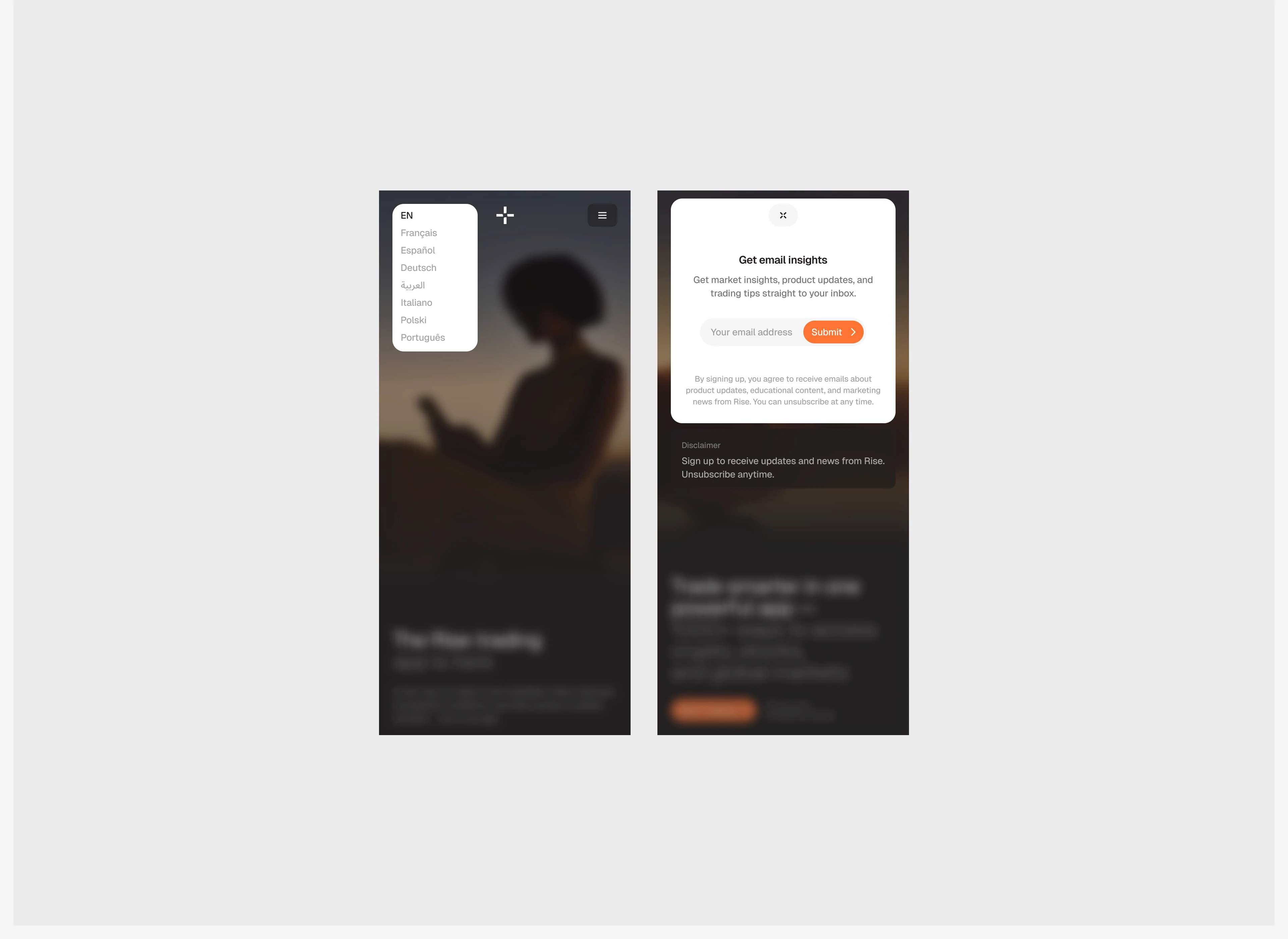 Rise — Branding & Web Design — Изображение №6 — Интерфейсы, Брендинг на Dprofile