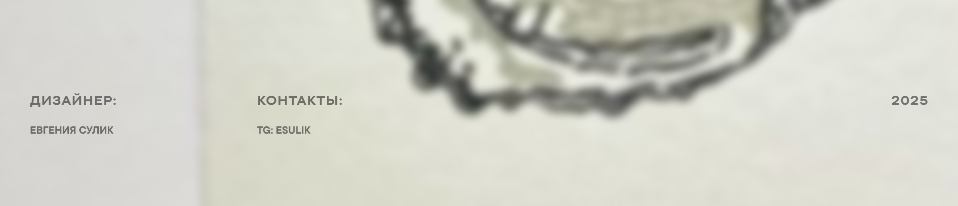 Оформление социальных сетей для украшений — Изображение №13 — Брендинг, Графика на Dprofile